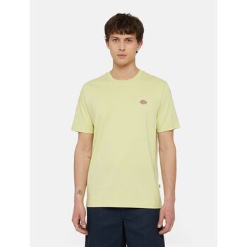 Dickies  T-Shirts & Poloshirts MAPLETON TEE SS 0A4XDB-141 PALE GREEN günstig online kaufen