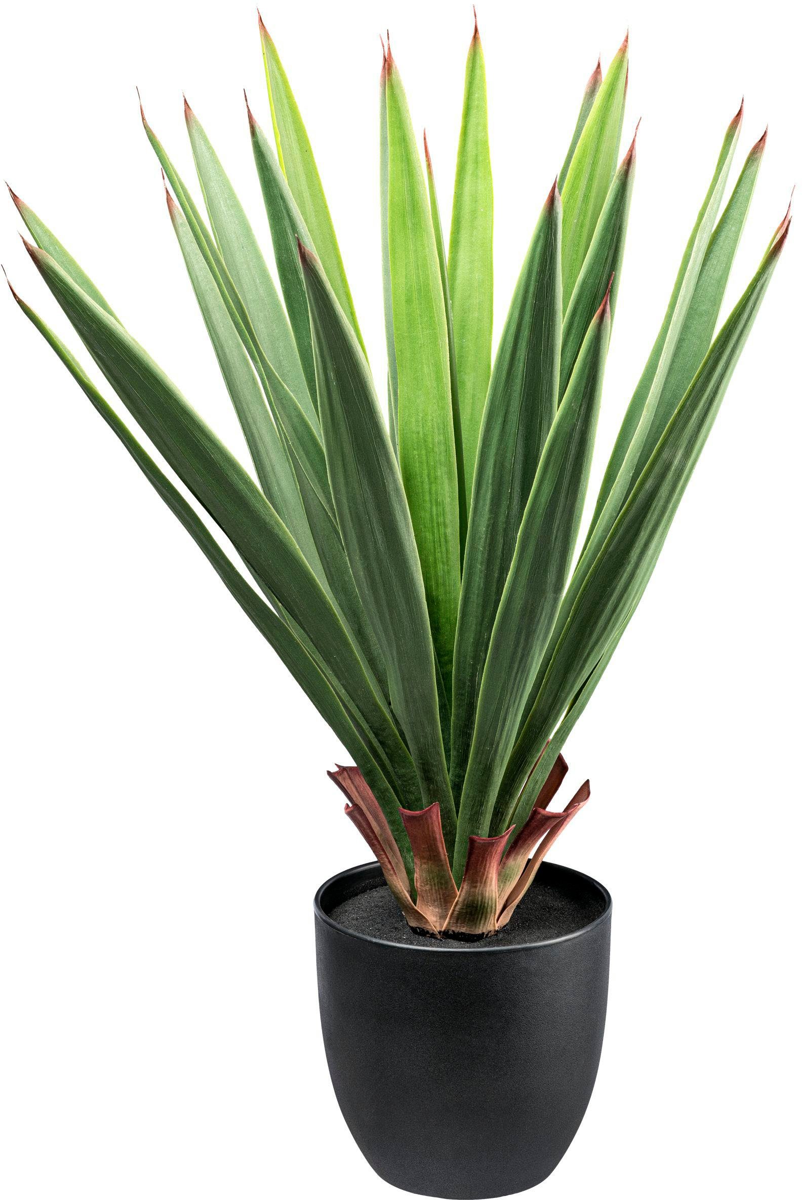 Kunstpflanze Dracaena Sukkulente, Creativ green, Höhe günstig online kaufen
