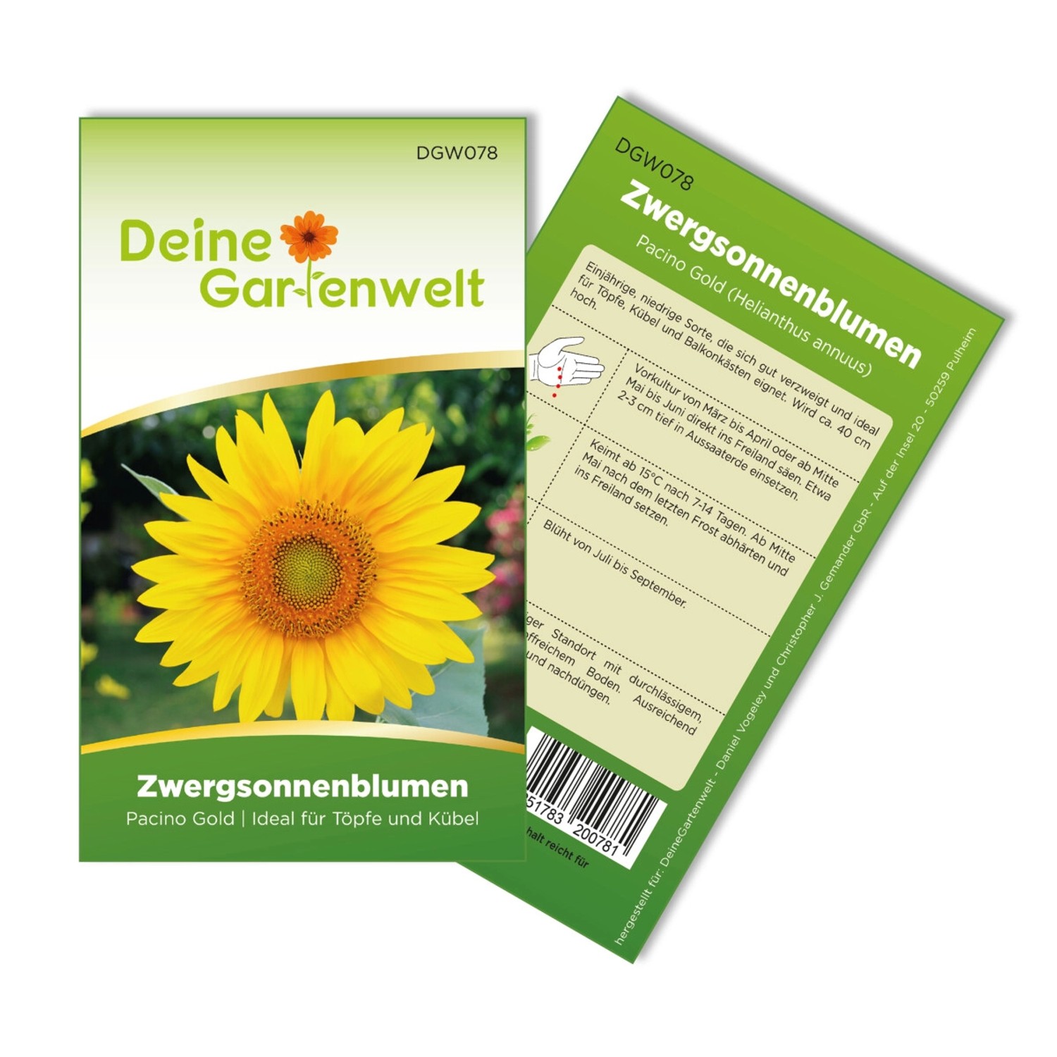 Deine Gartenwelt Zwergsonnenblume Pacino Gold Samen günstig online kaufen