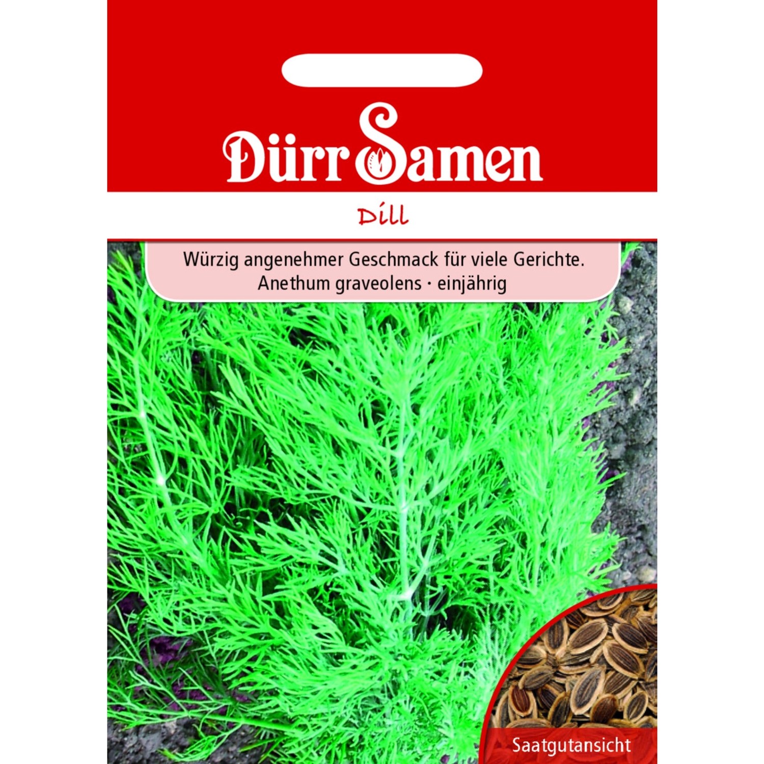 Dürr Samen Dill Blattreicher Saatgut günstig online kaufen