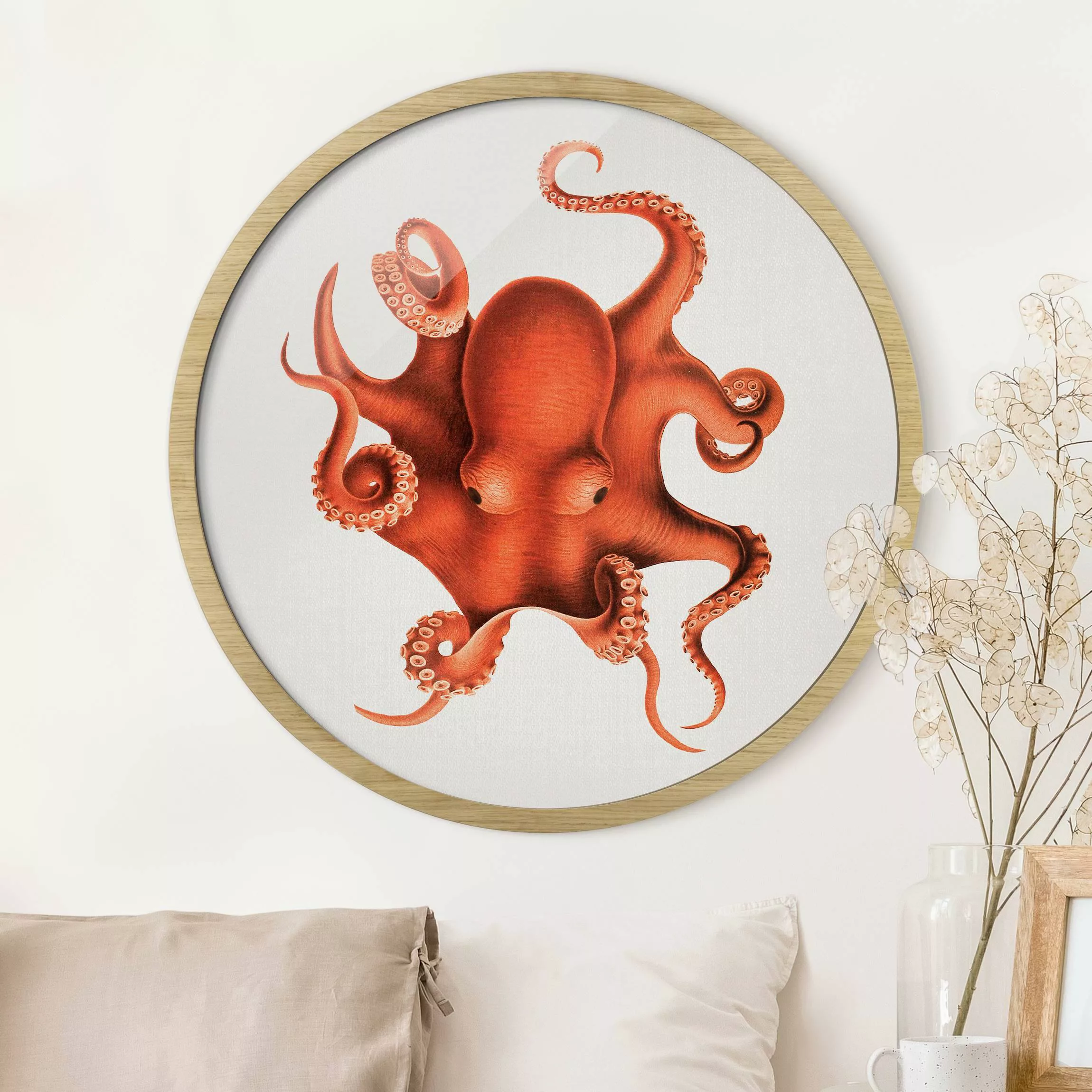 Rundes Gerahmtes Bild Vintage Illustration Roter Oktopus günstig online kaufen
