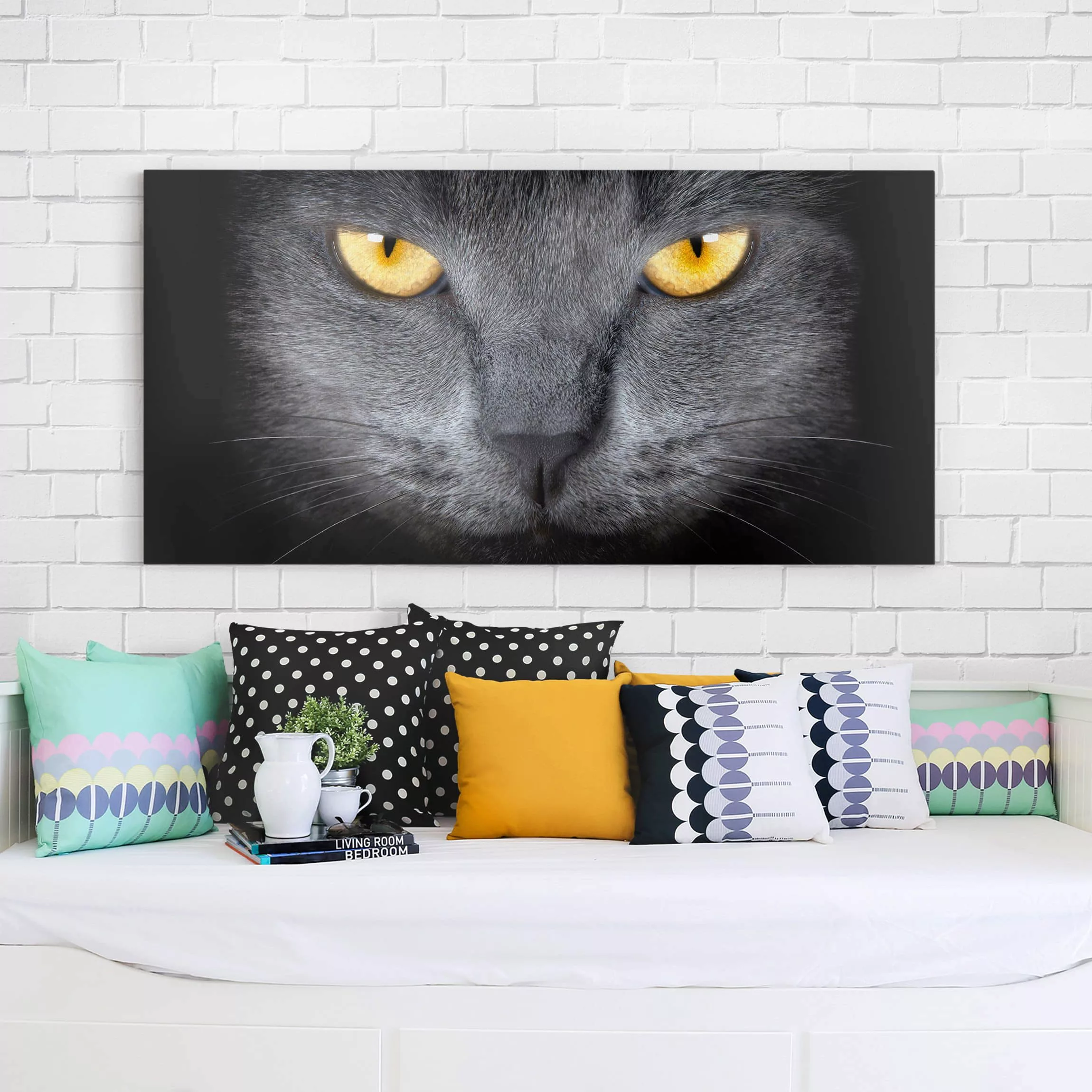 Leinwandbild - Querformat Cats Gaze günstig online kaufen