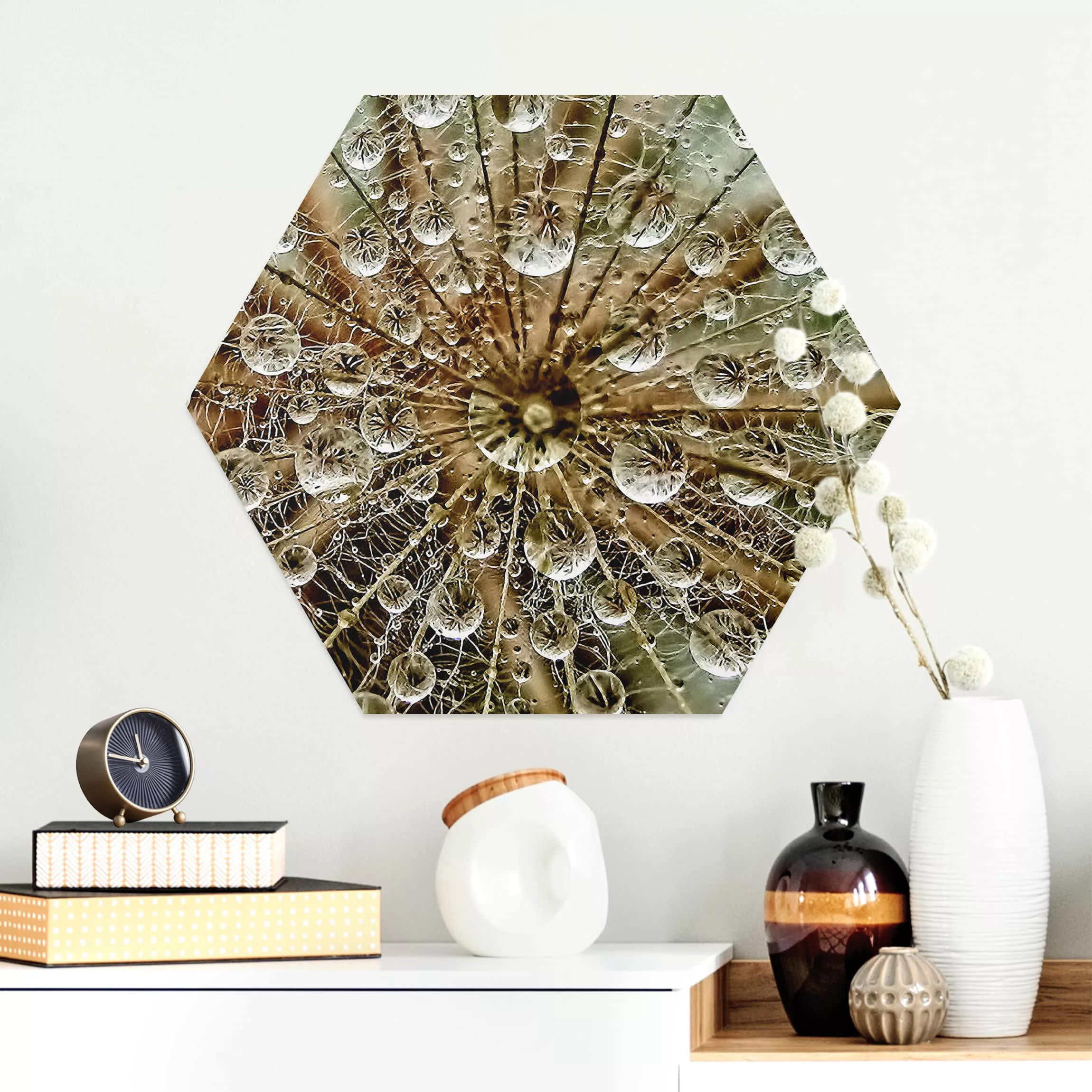 Hexagon-Alu-Dibond Bild Blumen Pusteblume im Herbst günstig online kaufen