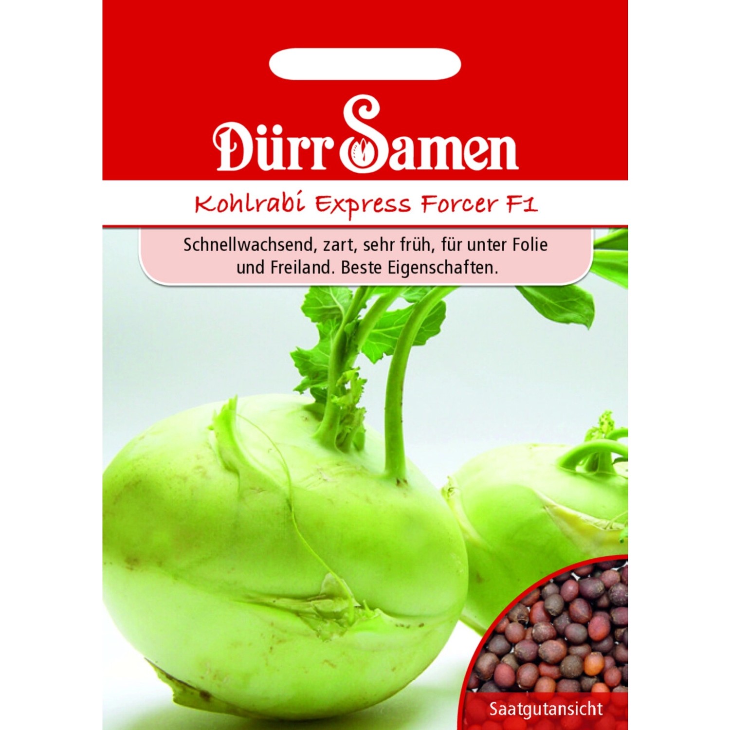 Dürr Samen Kohlrabi Express Forcer F1 Saatgut günstig online kaufen