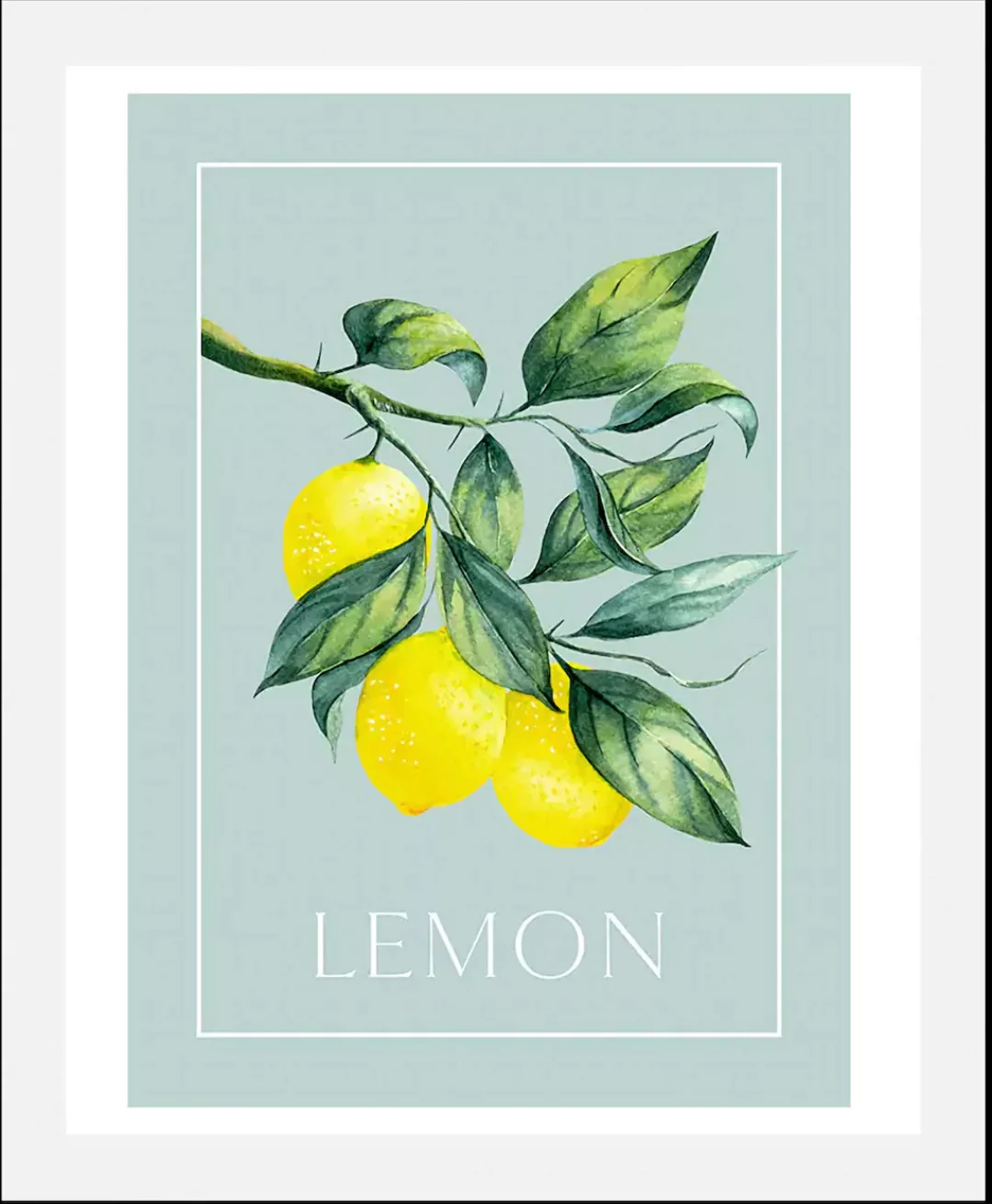 queence Bild "Lemon", Obst-Obst Bilder-Schriftzug-Figuren-Abstrakt, (1 St.) günstig online kaufen