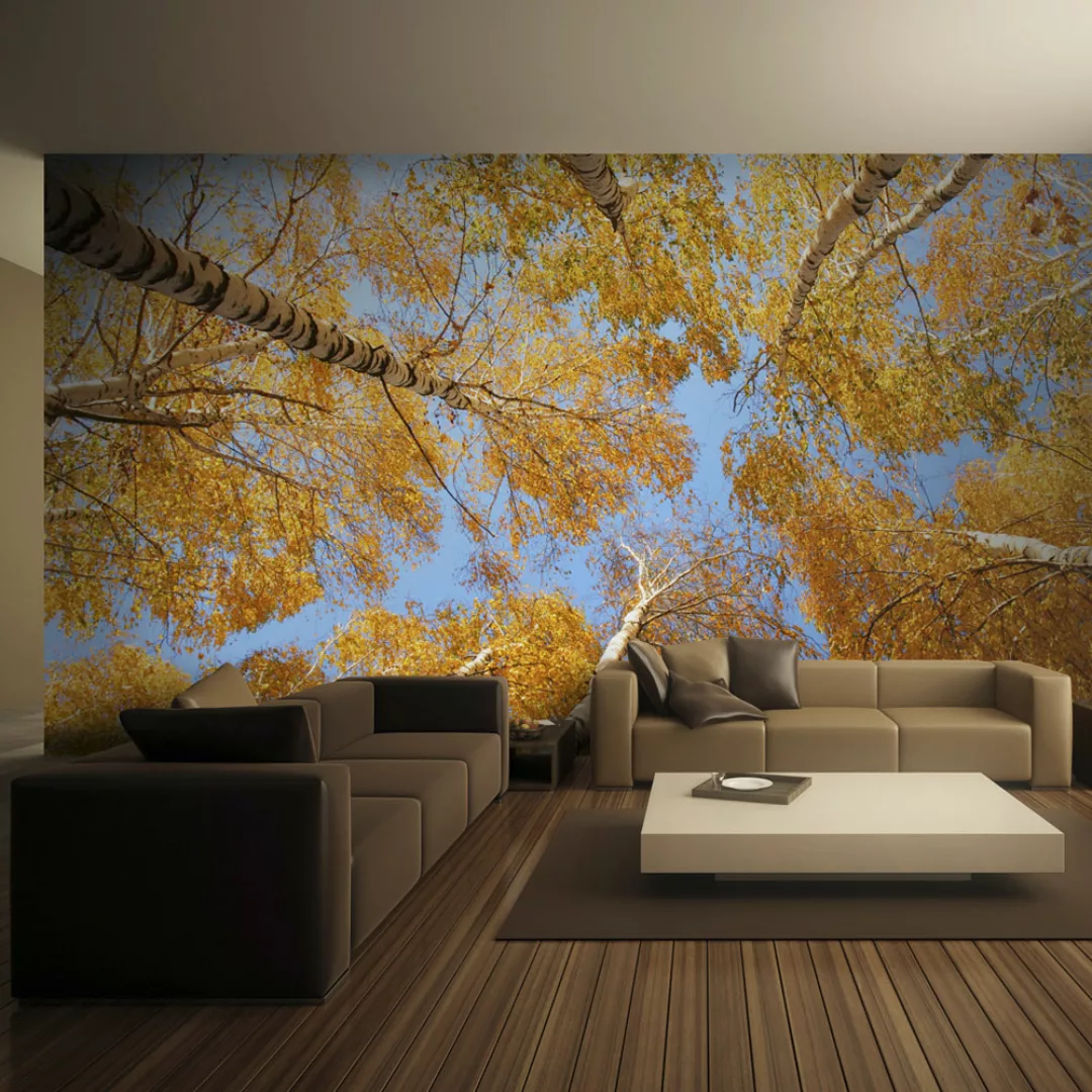 Fototapete - Autumnal treetops günstig online kaufen