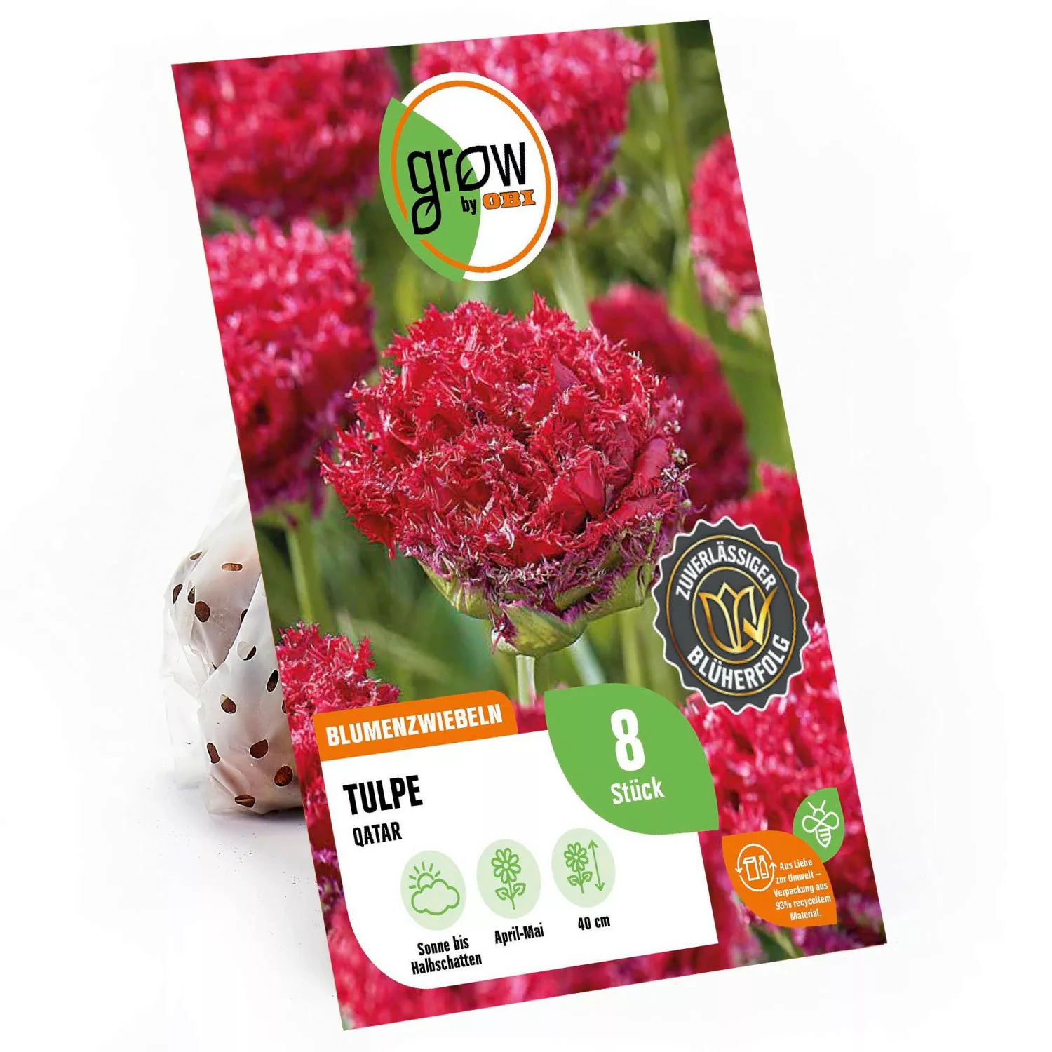 GROW by OBI Tulpe Qatar Rot 40 cm Tulipa günstig online kaufen