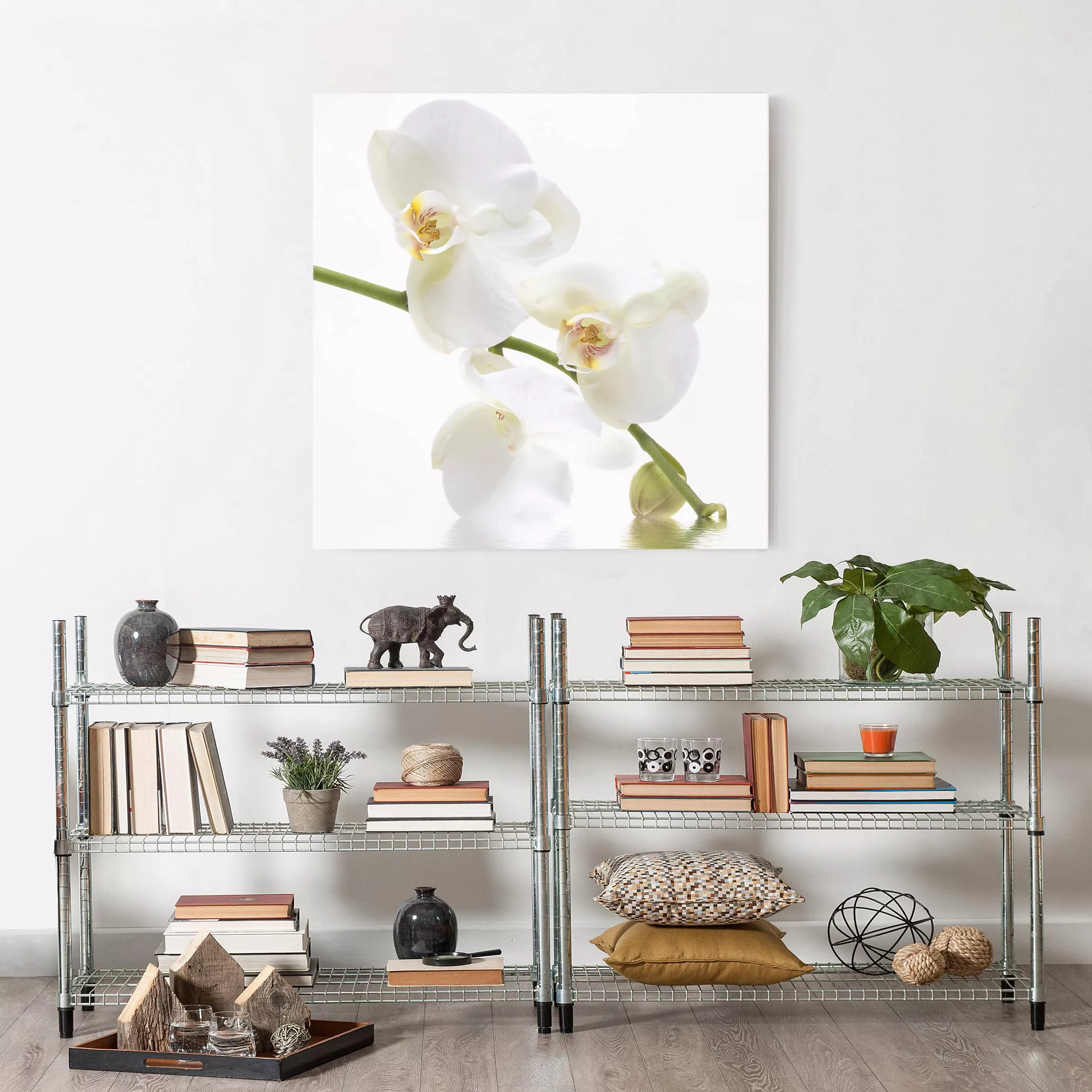 Leinwandbild Blumen - Quadrat White Orchid Waters günstig online kaufen