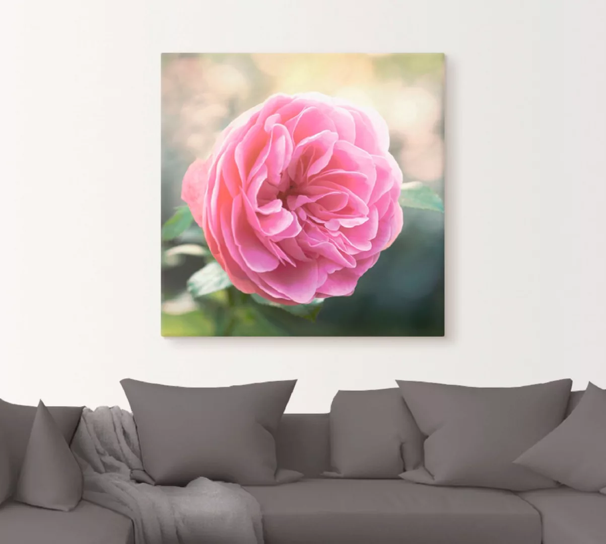 Artland Wandbild "Rosa Rose im Gegenlicht", Blumen, (1 St.), als Leinwandbi günstig online kaufen