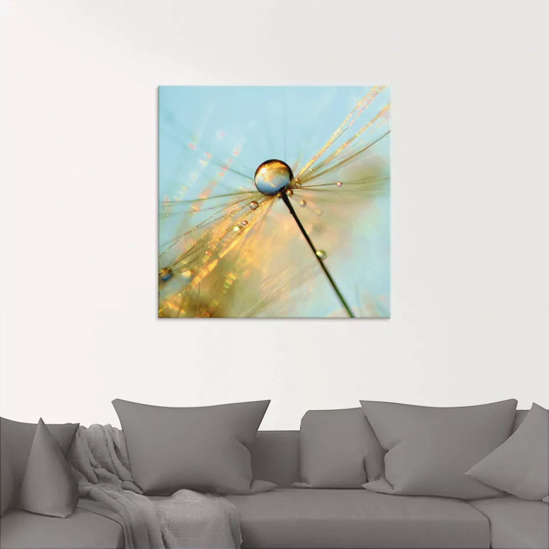 Artland Glasbild "Pusteblume Tautropfen II", Blumen, (1 St.), in verschiede günstig online kaufen