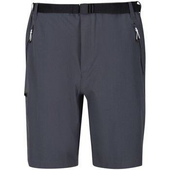 Regatta  Shorts Sport Xert StrShort III RMJ233/38 günstig online kaufen