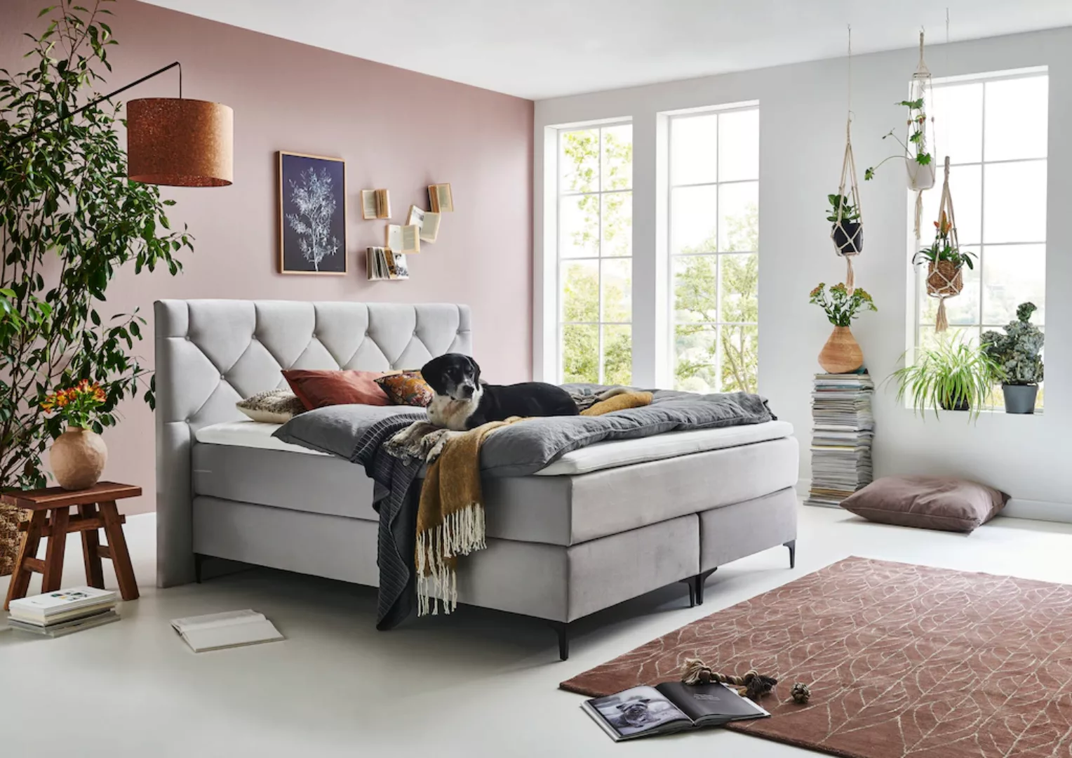 Home affaire Boxspringbett "Aiko", 100% vegan, mit tierfreundlichem Bezugss günstig online kaufen