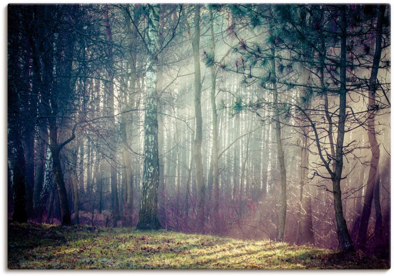 Artland Wandbild "Sonnenstrahlen im Wald", Waldbilder, (1 St.), als Alubild günstig online kaufen