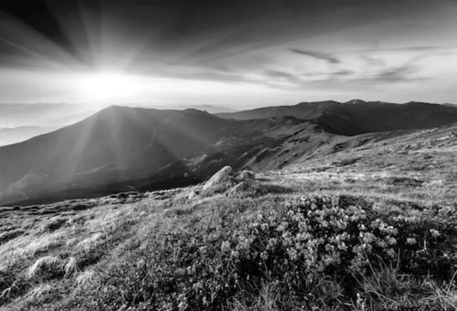 Papermoon Fototapete »Landschaft Schwarz & Weiß« günstig online kaufen