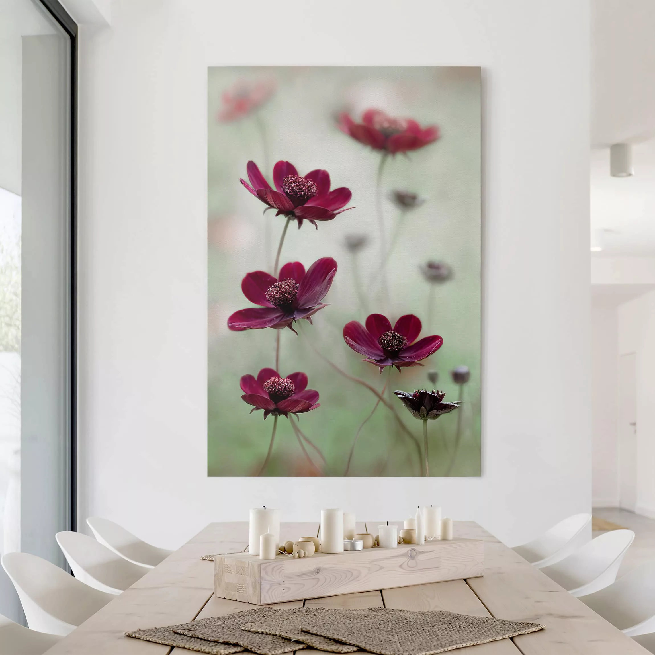 Leinwandbild Blumen - Hochformat Pinke Kosmeen günstig online kaufen