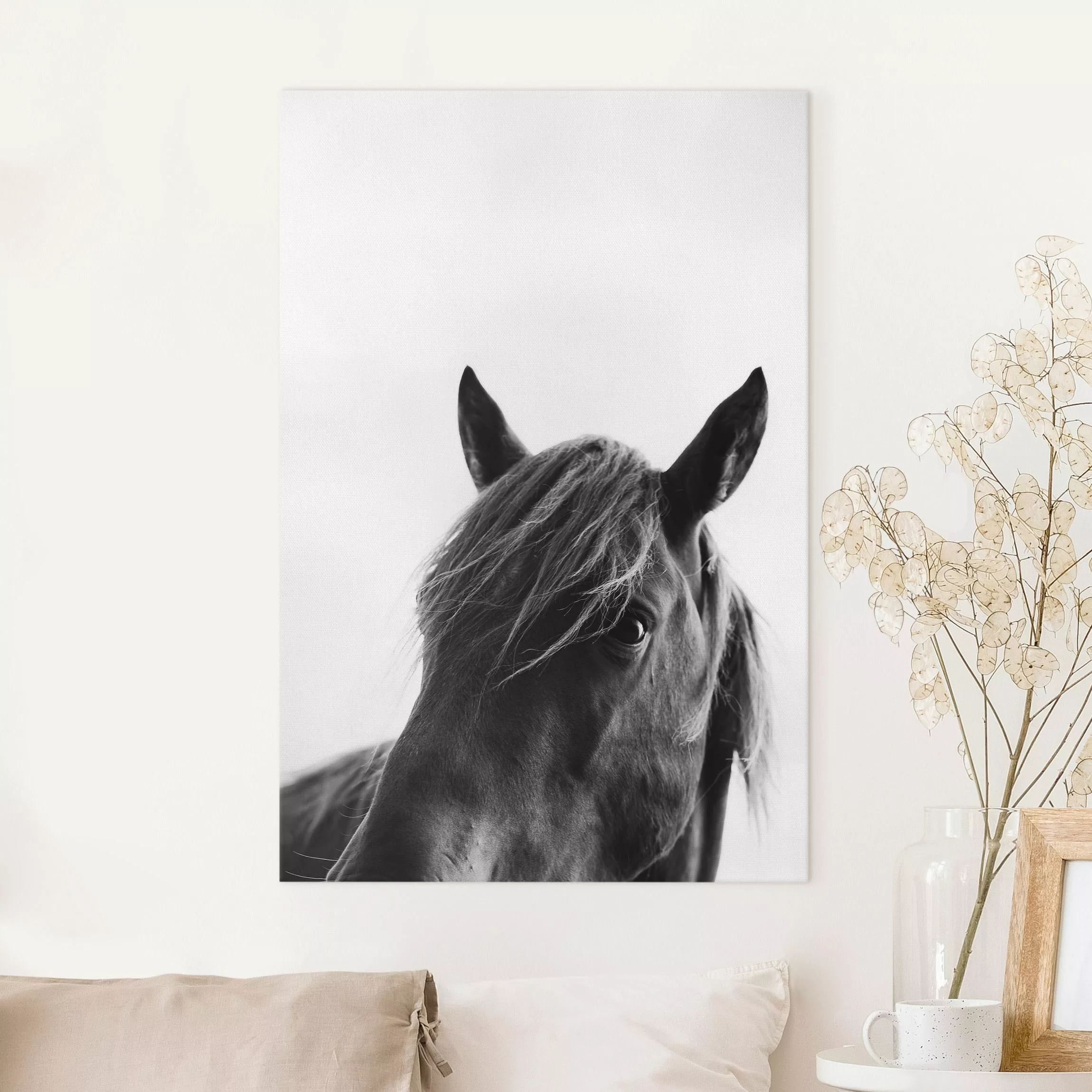 Leinwandbild Neugieriges Pferd günstig online kaufen