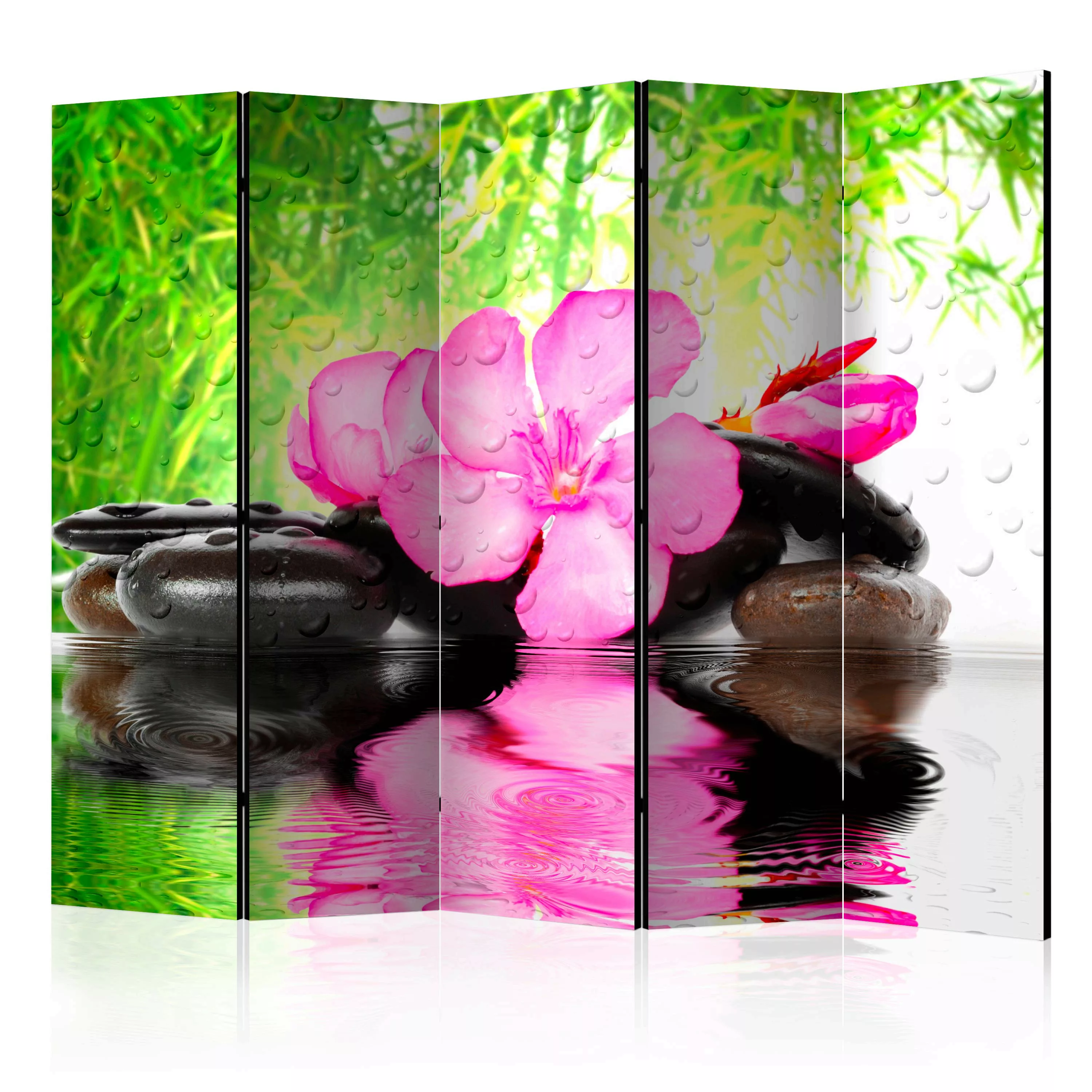 5-teiliges Paravent - Fuzzy Reflection Ii [room Dividers] günstig online kaufen