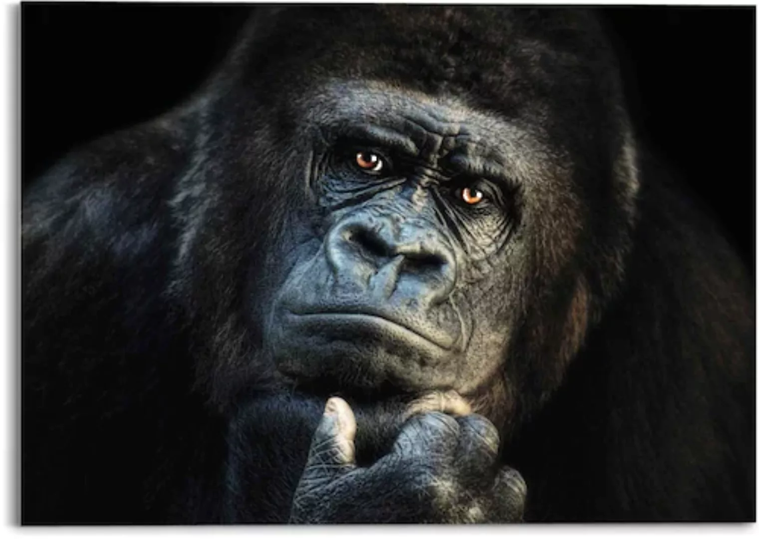 Reinders! Glasbild »Glasbild Gorilla Affe - Kräftig - Nachdenklich«, Affen, günstig online kaufen