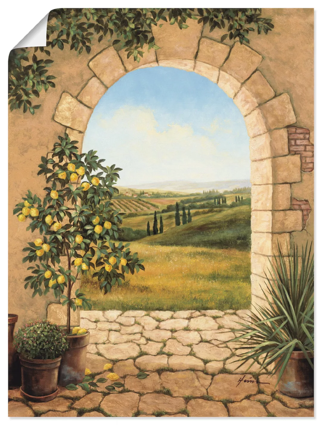 Artland Wandbild "Zitronenbaum vorm Torbogen", Fensterblick, (1 St.), als A günstig online kaufen
