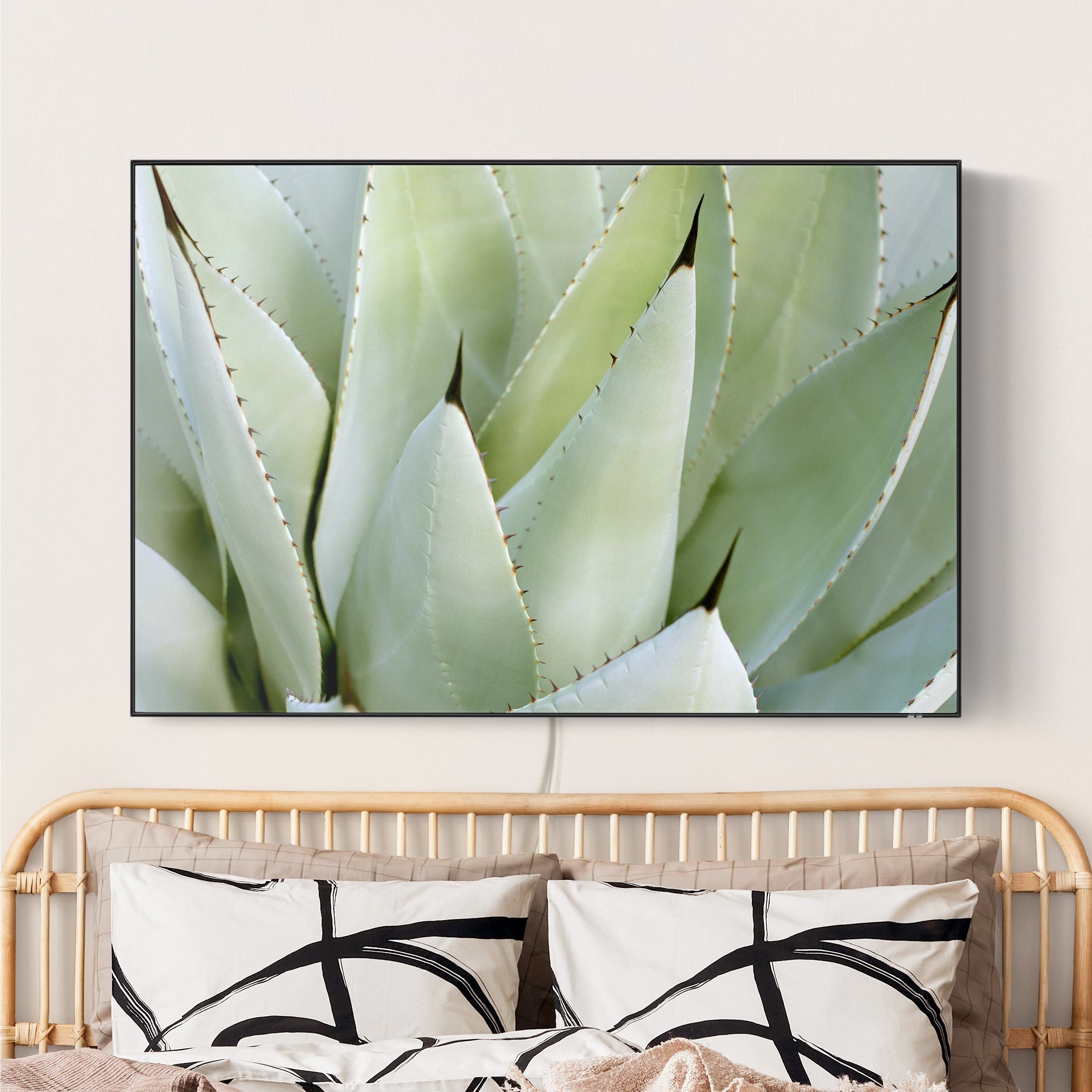 LED-Wechselbild Aloe günstig online kaufen