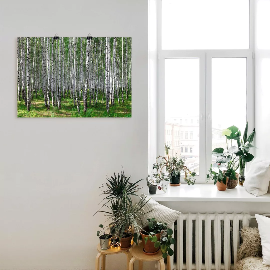 Artland Wandbild »Birkenwald«, Wald, (1 St.), als Poster, Wandaufkleber in günstig online kaufen