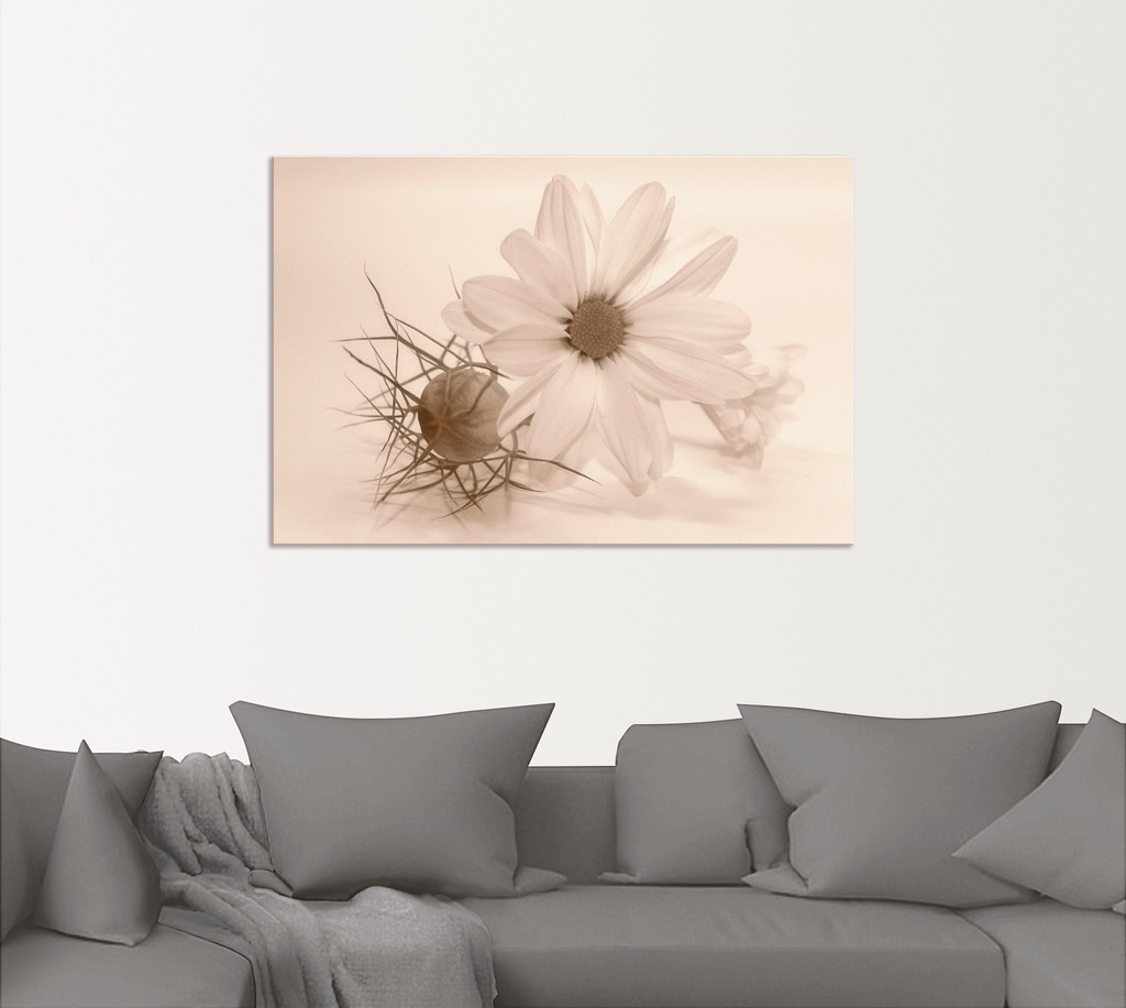 Artland Wandbild »Chrysantheme«, Blumen, (1 St.), als Alubild, Outdoorbild, günstig online kaufen