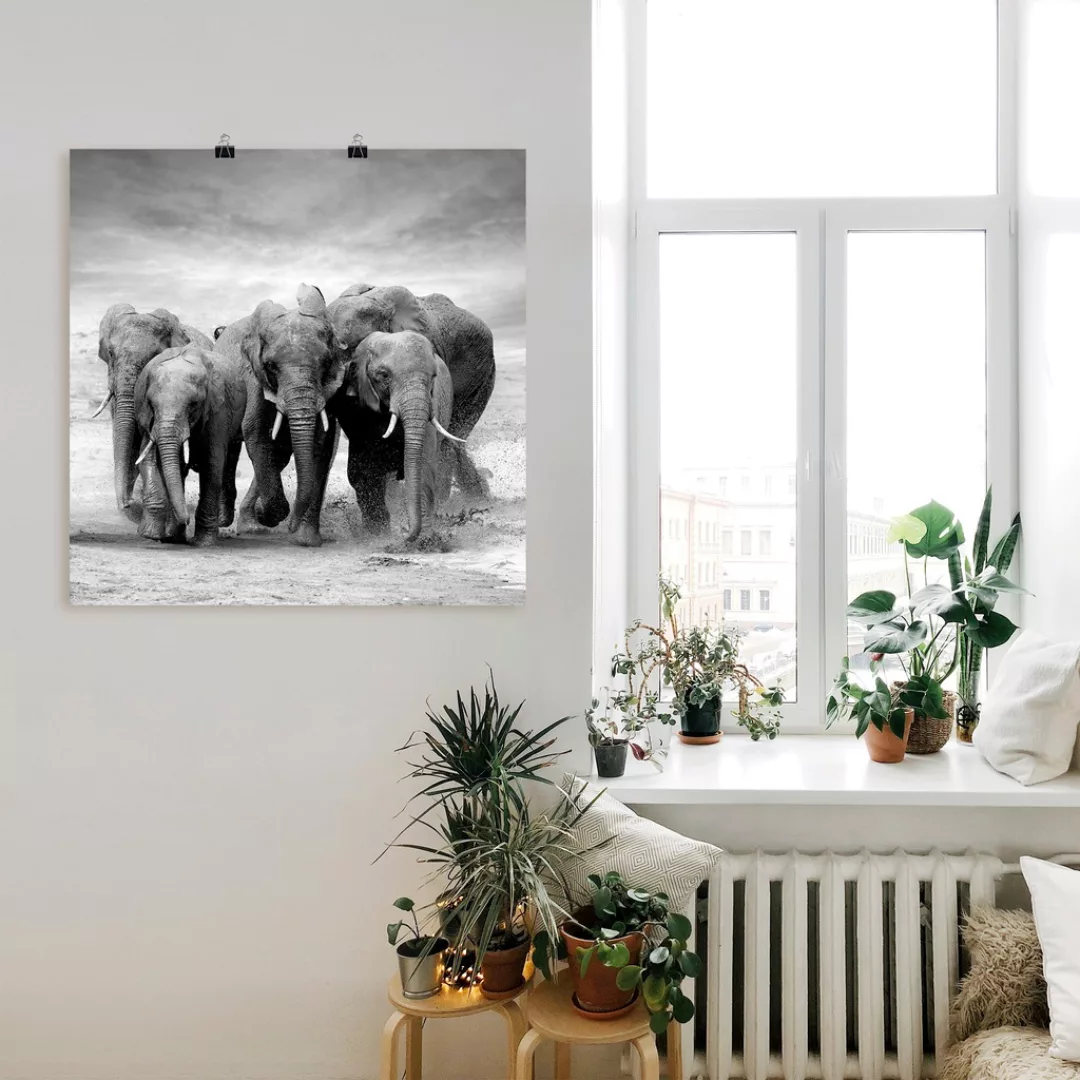 Artland Wandbild »Elefanten«, Wildtiere, (1 St.), als Leinwandbild, Poster, günstig online kaufen