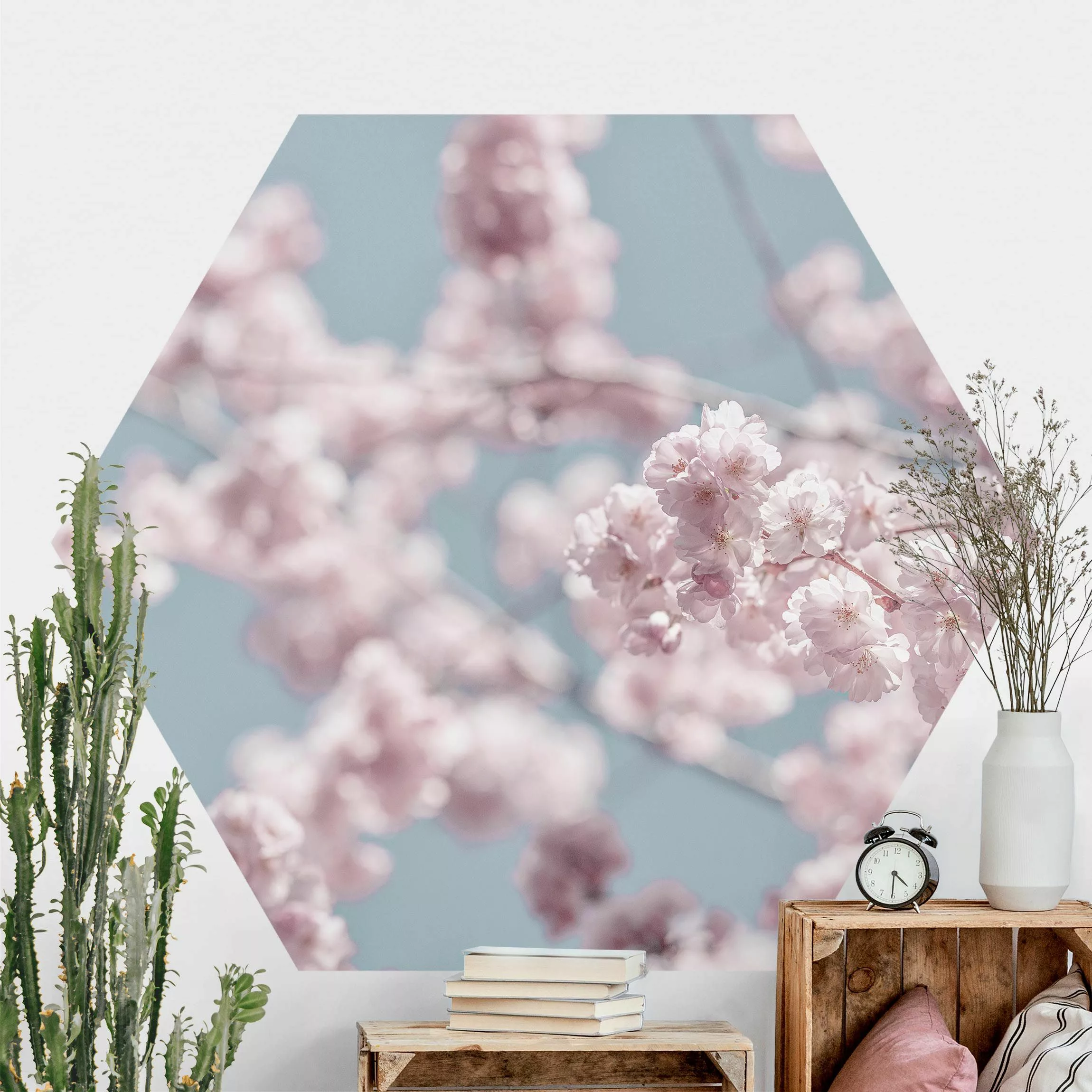 Hexagon Fototapete selbstklebend Kirschblütenparty günstig online kaufen