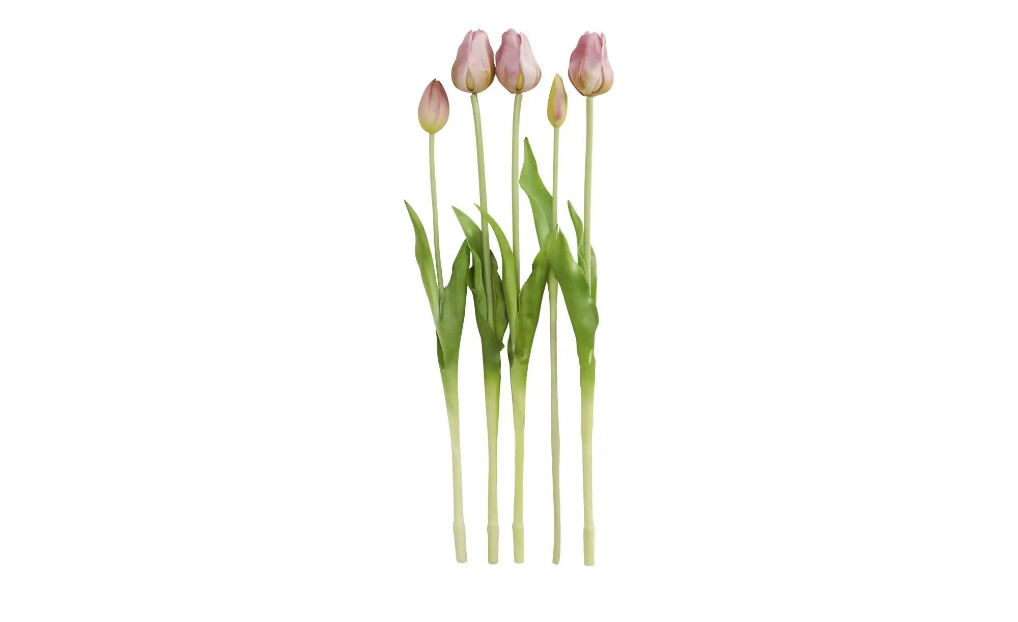 Französischer Tulpenbund ¦ rosa/pink ¦ Polypropylen, Kunststoff ¦ Maße (cm) günstig online kaufen