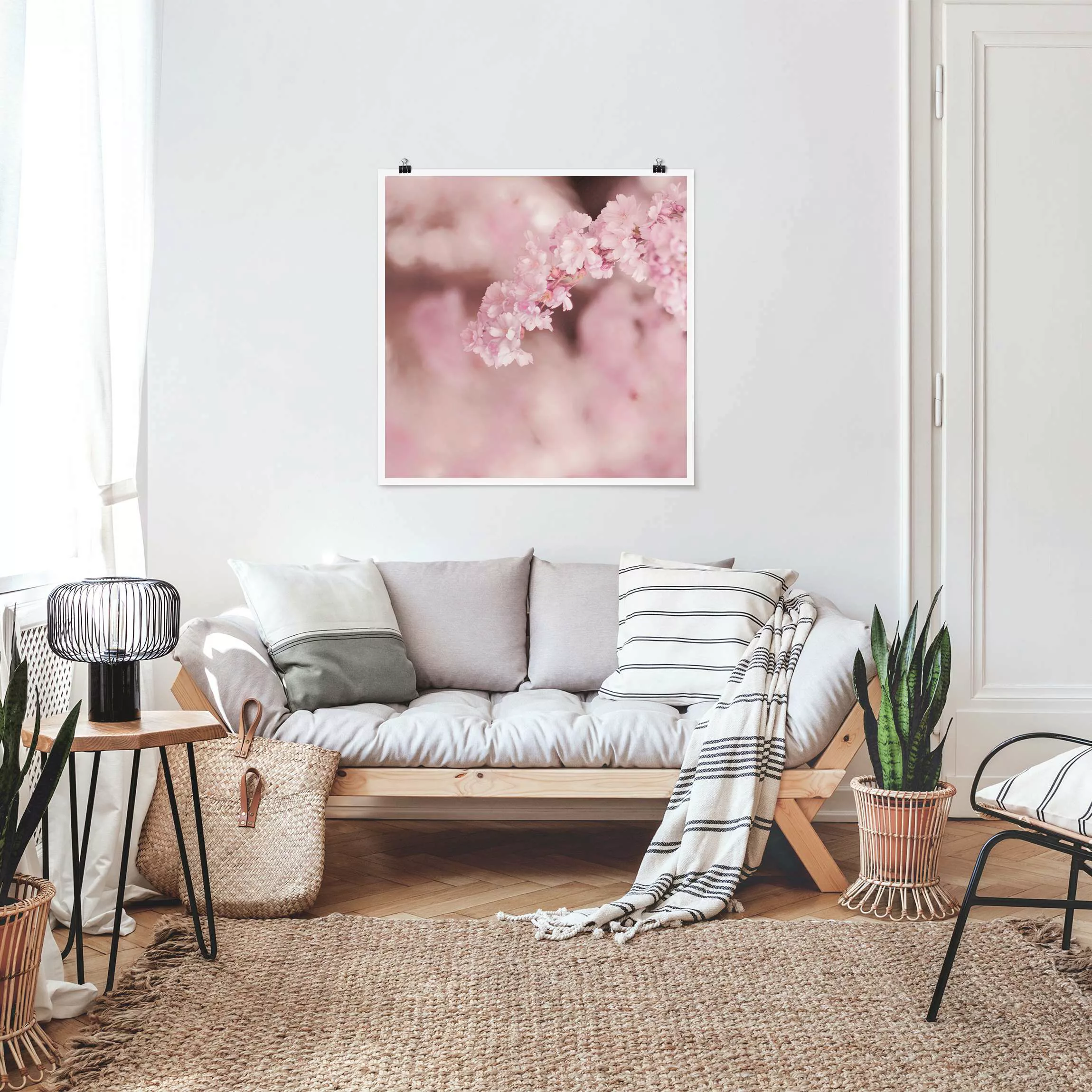 Poster Kirschblüte im Violetten Licht günstig online kaufen