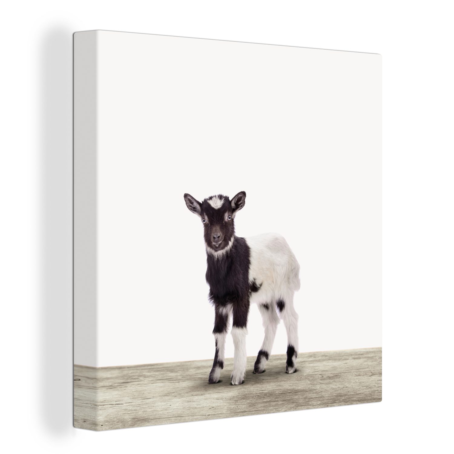 OneMillionCanvasses® Leinwandbild Ziege - Tiere - günstig online kaufen