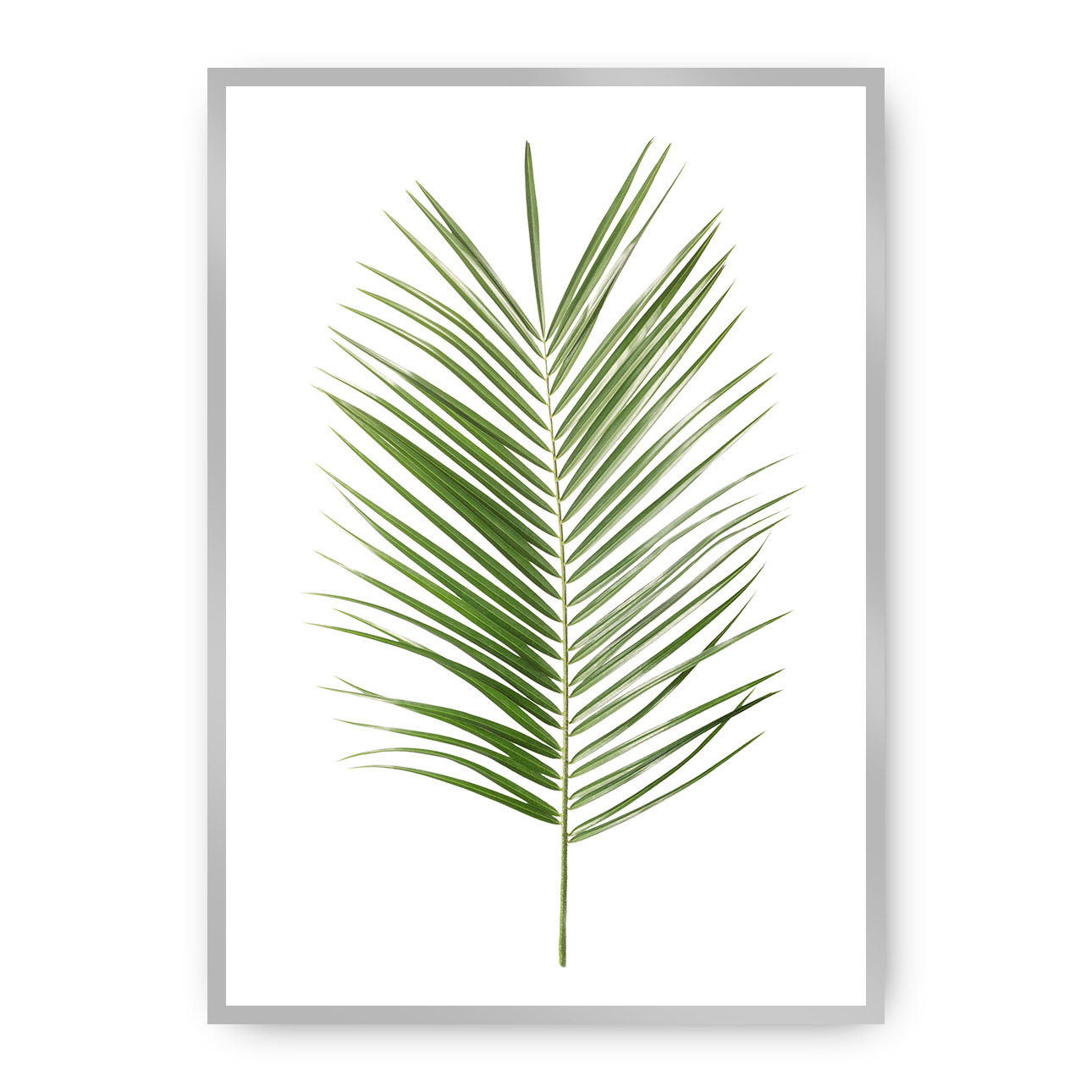 Poster Palm Leaf Green, 21 x 30 cm, Rahmen wählen: silber günstig online kaufen