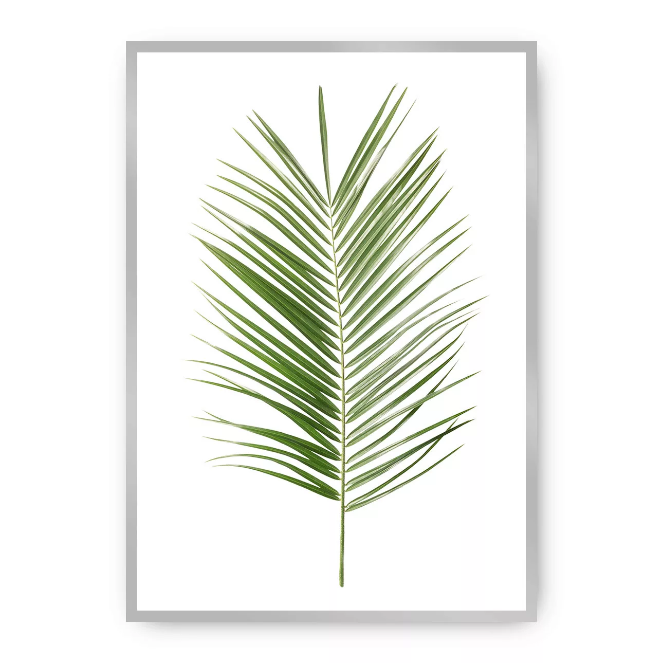 Poster Palm Leaf Green, 40 x 50 cm, Rahmen wählen: silber günstig online kaufen