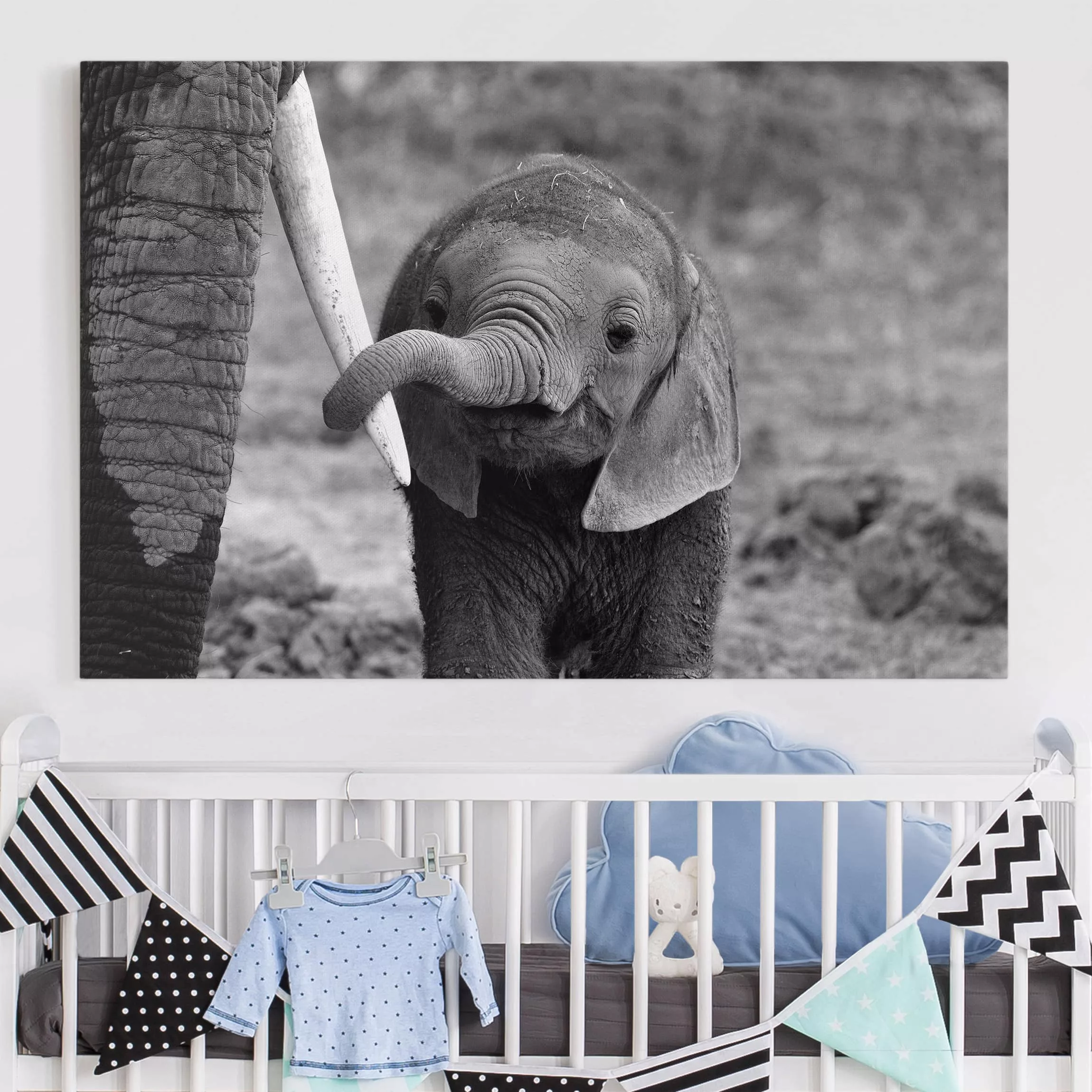 Leinwandbild Elefant - Querformat Elefantenbaby günstig online kaufen