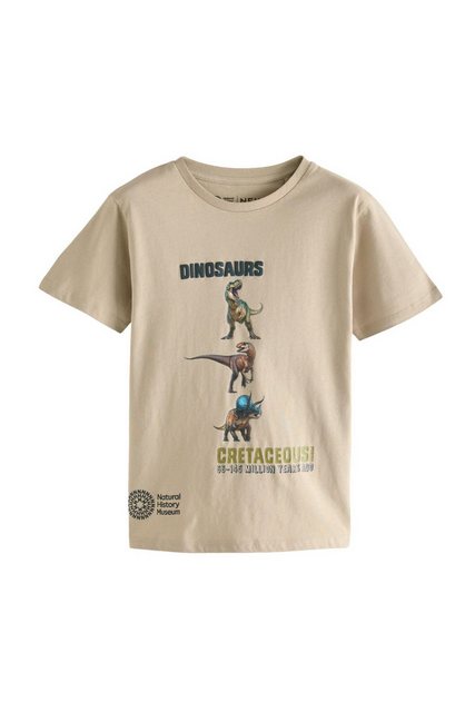 Next T-Shirt Natural History Museum T-Shirt aus 100 % Baumwolle (1-tlg) günstig online kaufen