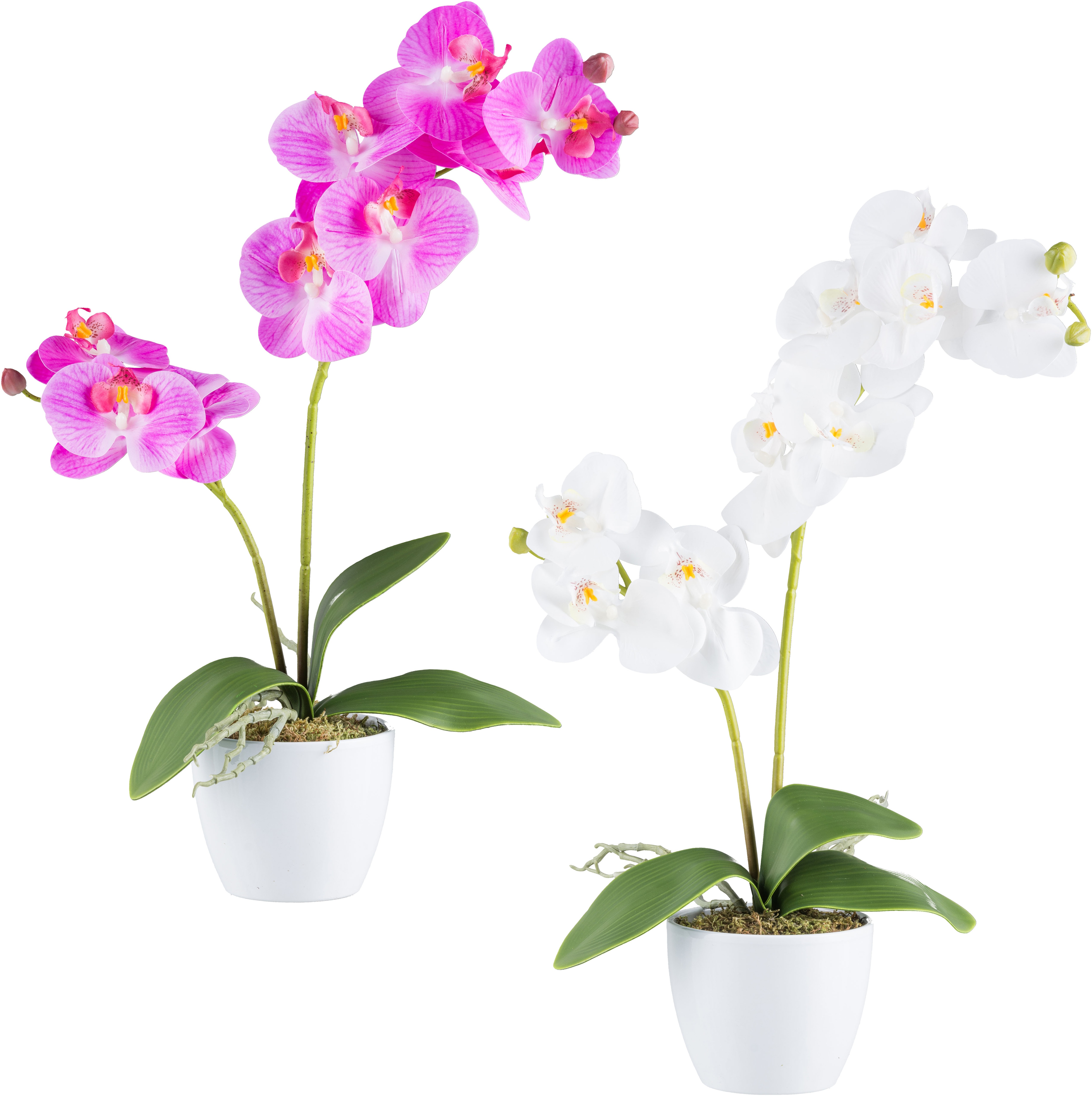 Creativ green Kunstorchidee "Orchidee Phalaenopsis", mit real-touch-Blüten günstig online kaufen