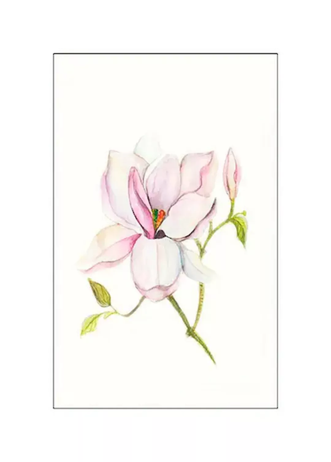 Komar Poster »Magnolia Shine«, Pflanzen-Blätter, (1 St.), Kinderzimmer, Sch günstig online kaufen