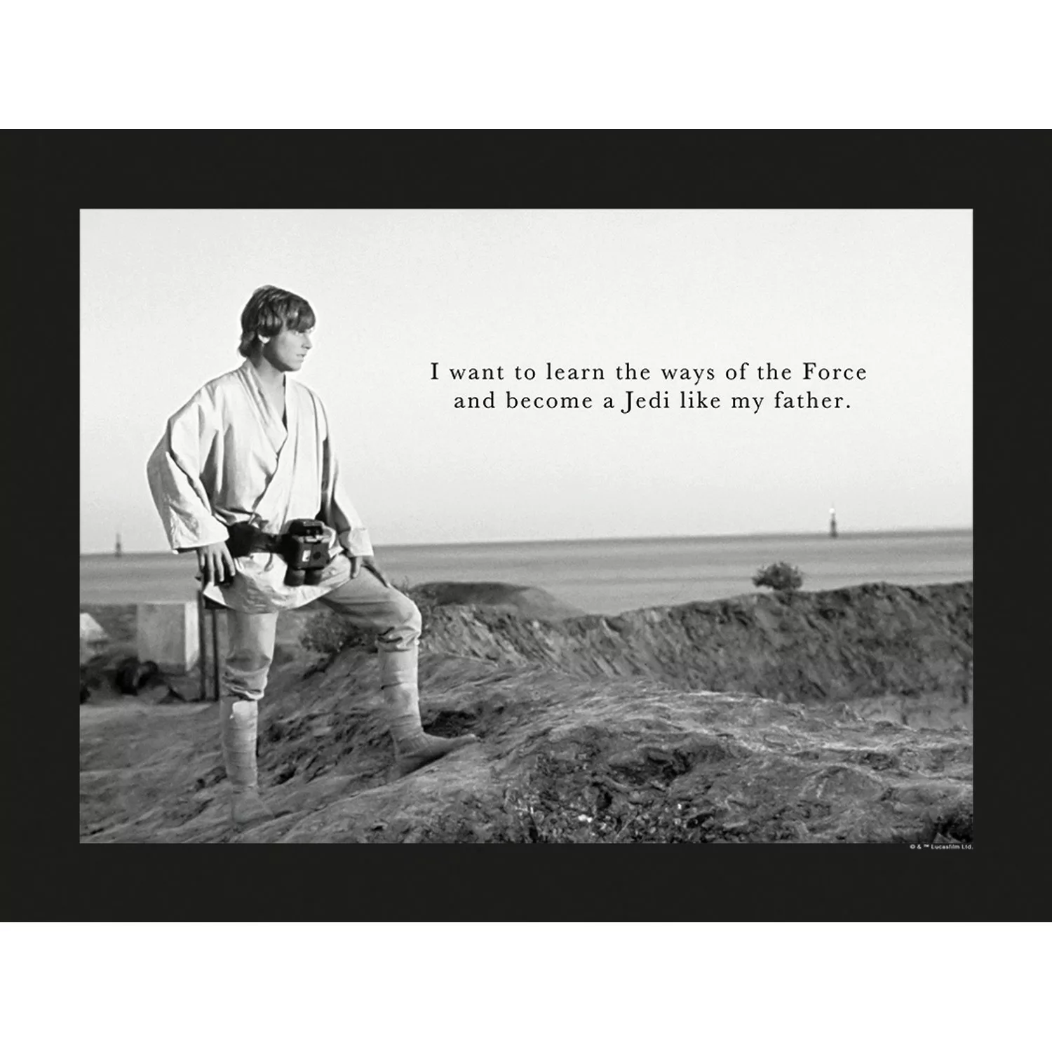 Komar Wandbild Star Wars Quote 40 x 30 cm günstig online kaufen