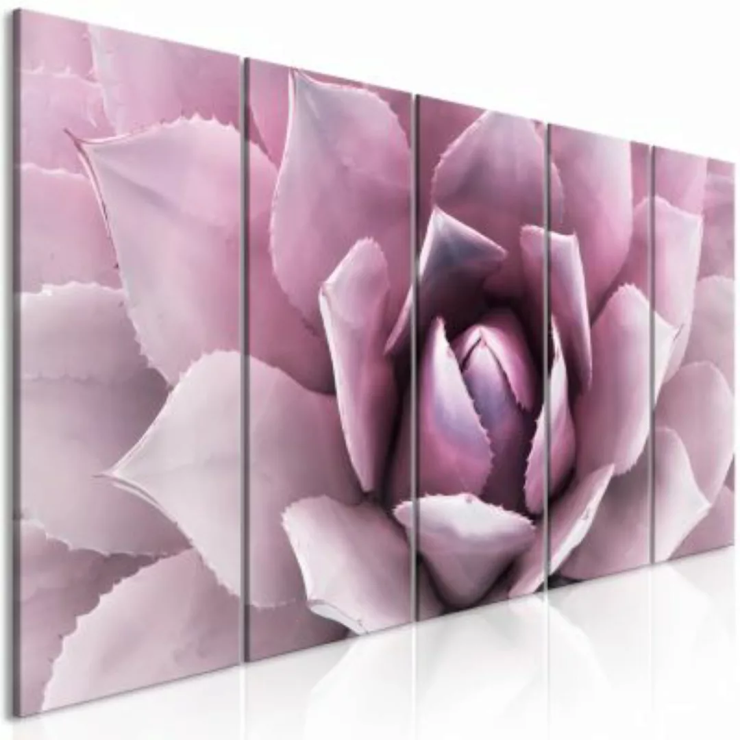 artgeist Wandbild Agave (5 Parts) Narrow Pink mehrfarbig Gr. 200 x 80 günstig online kaufen