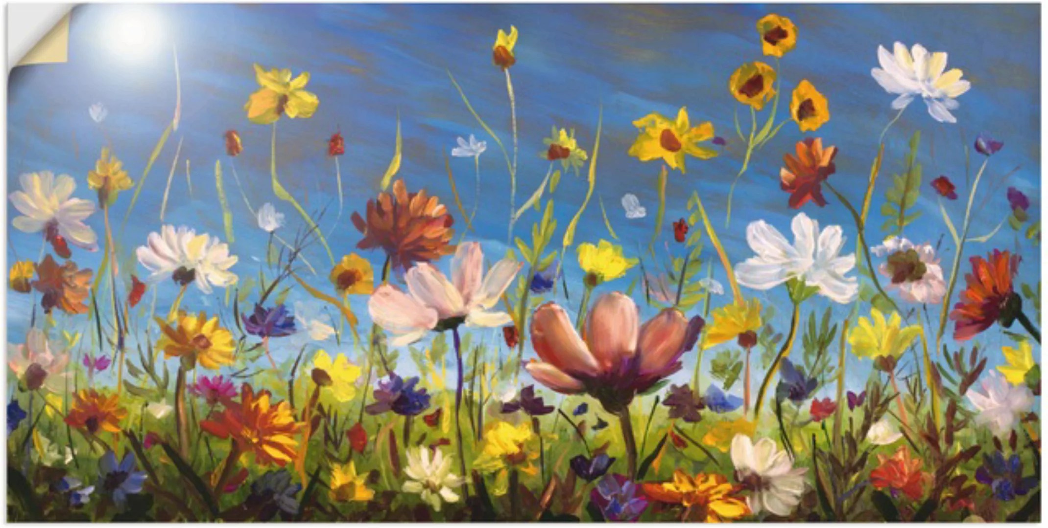 Artland Wandbild "Wildblumenwiese blauer Himmel", Blumenwiese, (1 St.), als günstig online kaufen