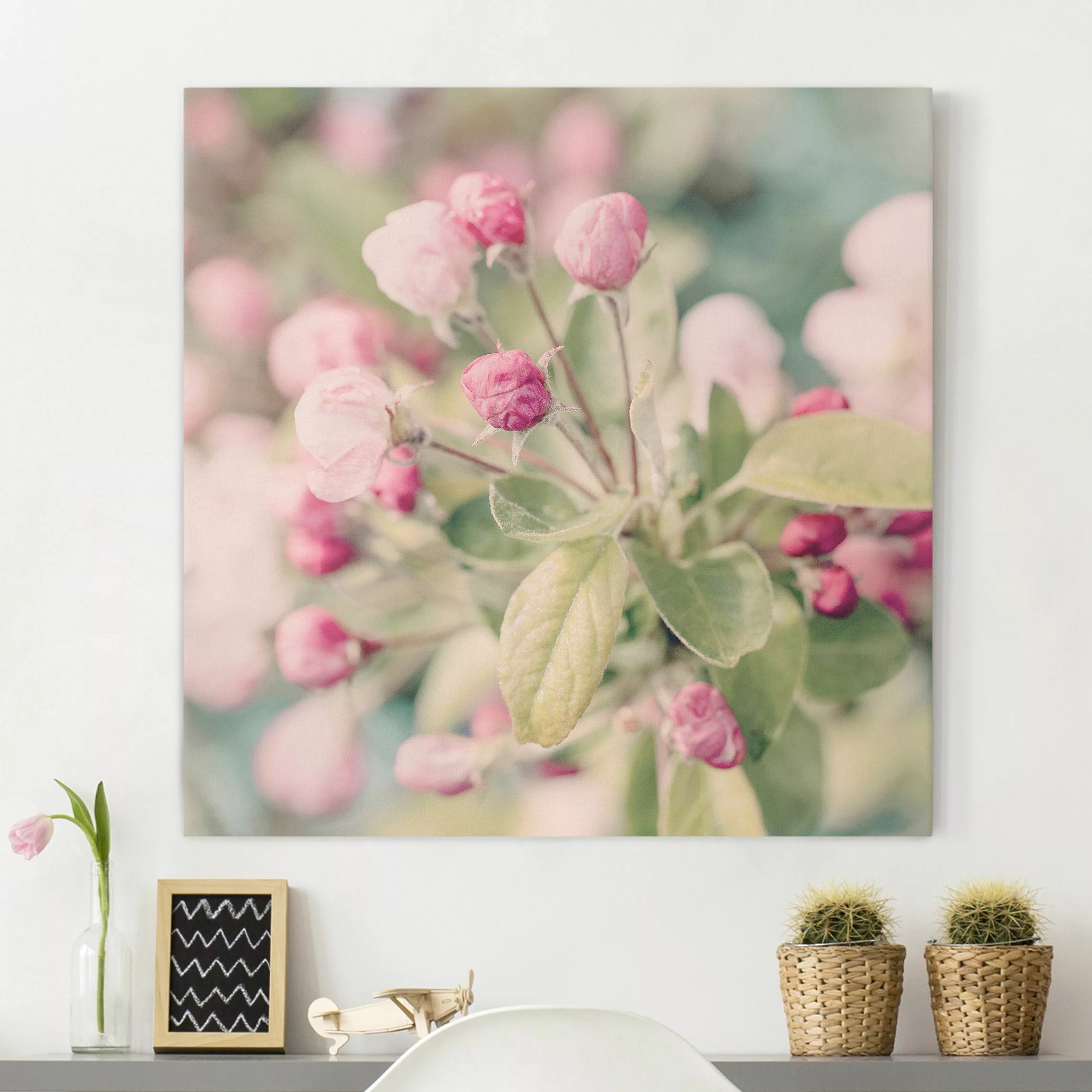 Leinwandbild Apfelblüte Bokeh rosa günstig online kaufen