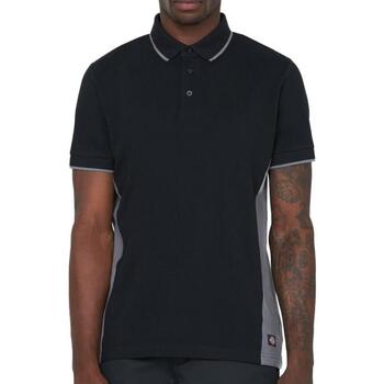 Dickies  T-Shirts & Poloshirts DK0A4XU4C66 günstig online kaufen