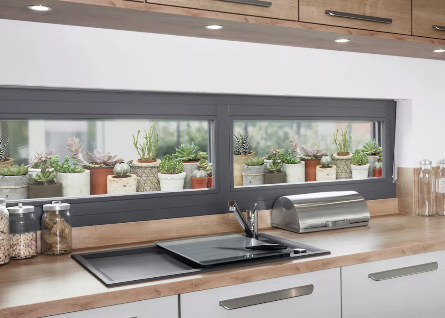 MySpotti Fensterfolie "Look Succulents", halbtransparent, glattstatisch haf günstig online kaufen