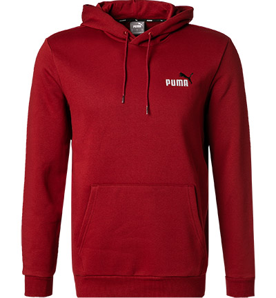 PUMA Hoodie 587186/0022 günstig online kaufen