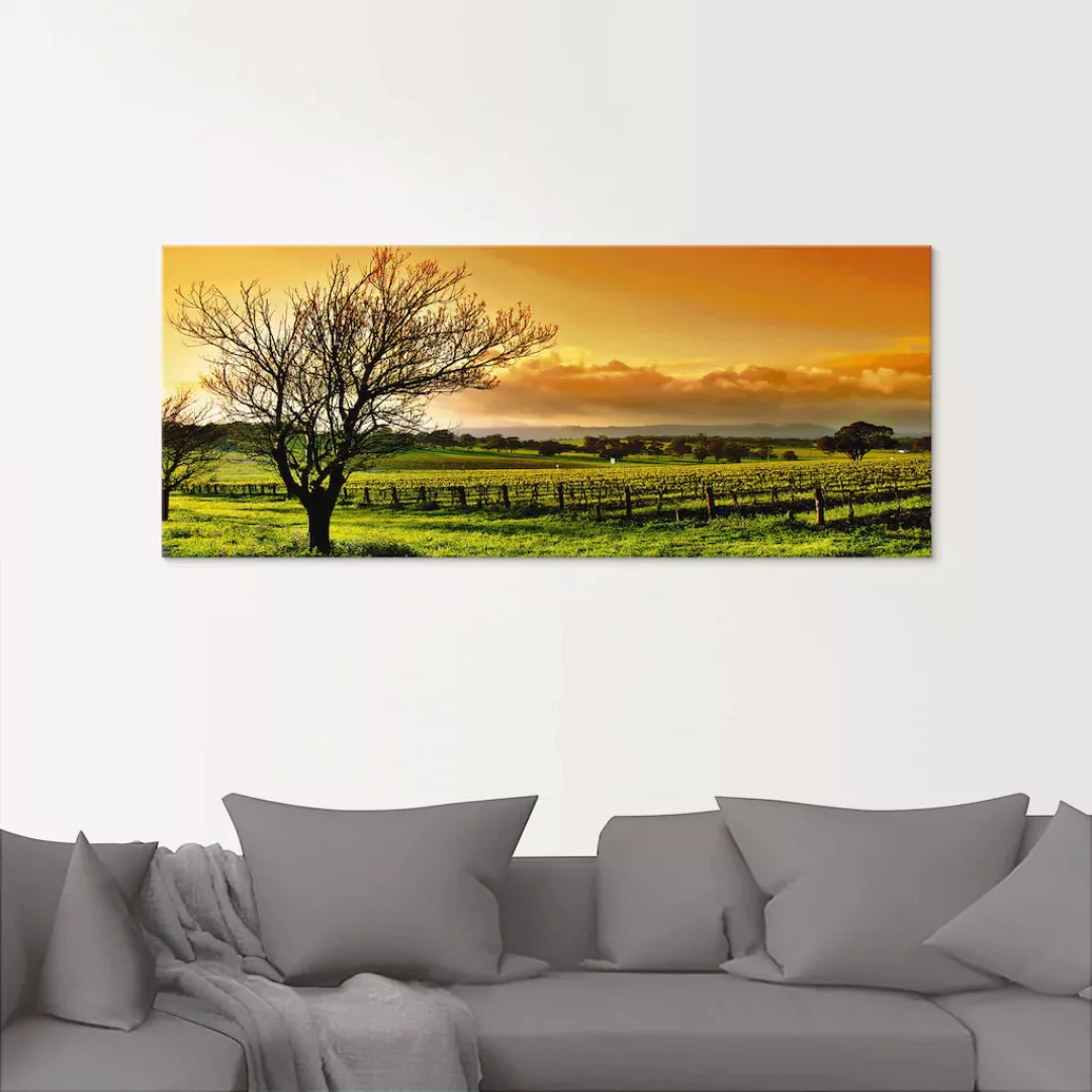 Artland Glasbild "Landschaft mit Weinbergen", Felder, (1 St.) günstig online kaufen