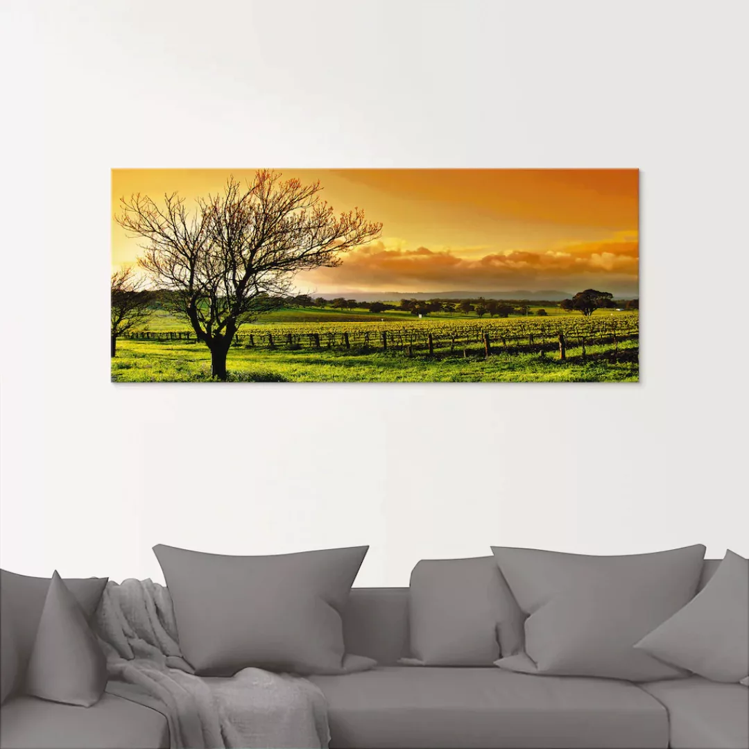 Artland Glasbild »Landschaft mit Weinbergen«, Felder, (3 St.), in verschied günstig online kaufen