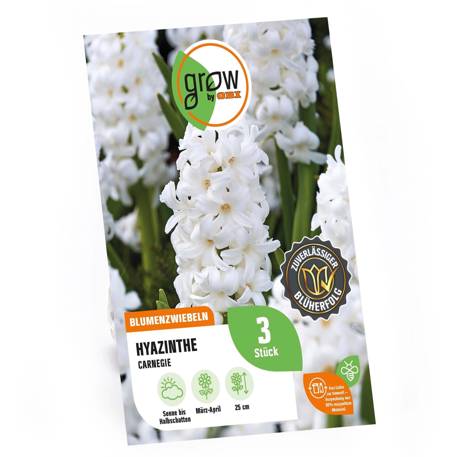 GROW by OBI Hyazinthe Carnegie Weiß 25 cm Hyacinthus orientalis günstig online kaufen