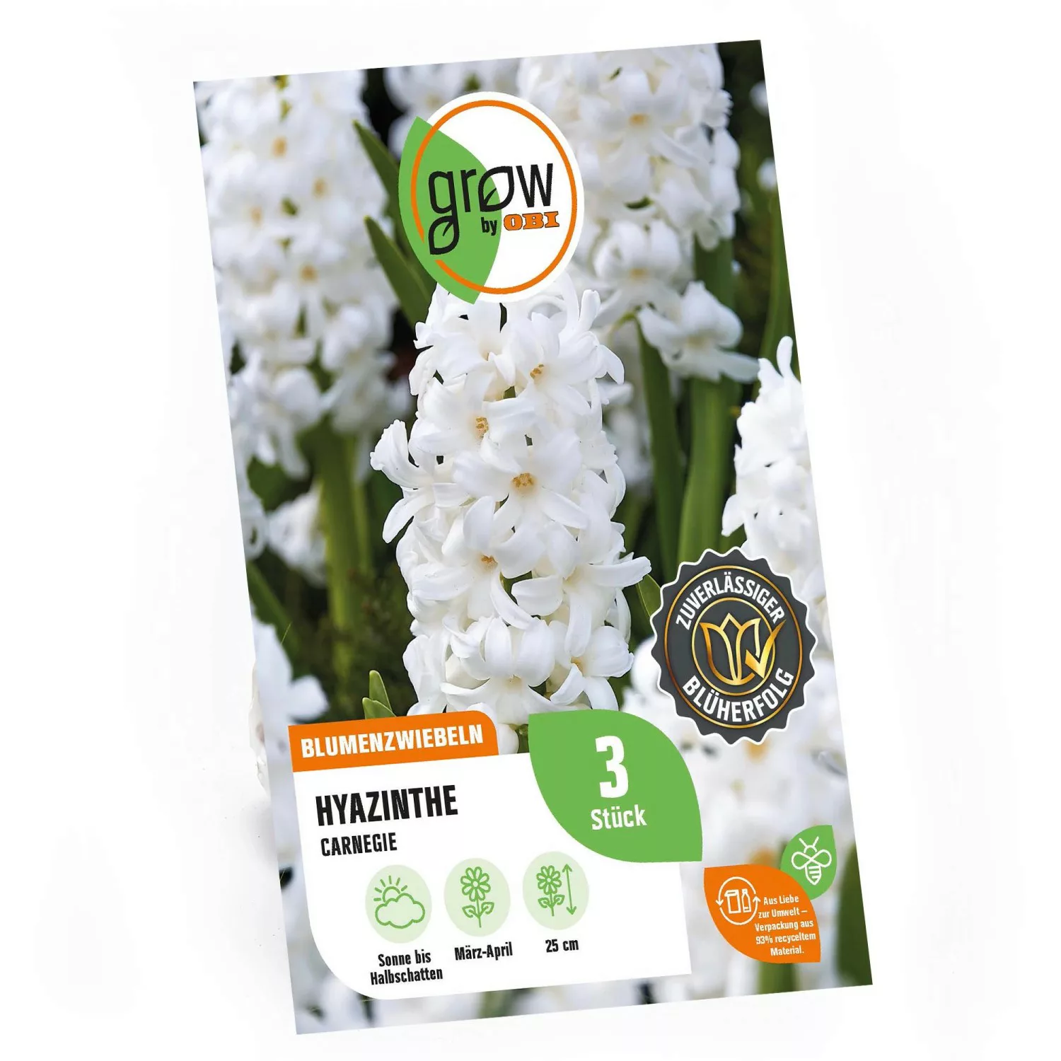 GROW by OBI Hyazinthe Carnegie Weiß 25 cm Hyacinthus orientalis günstig online kaufen