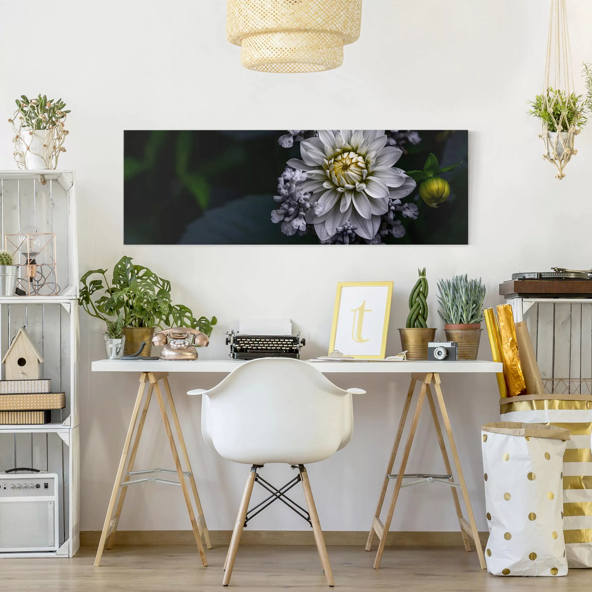 Leinwandbild Blumen - Panorama Weiße Dahlie günstig online kaufen