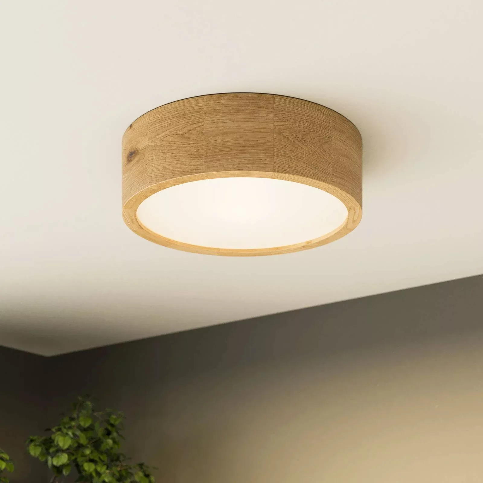 Envostar Kerio Deckenlampe, Ø 27 cm, eiche natur günstig online kaufen